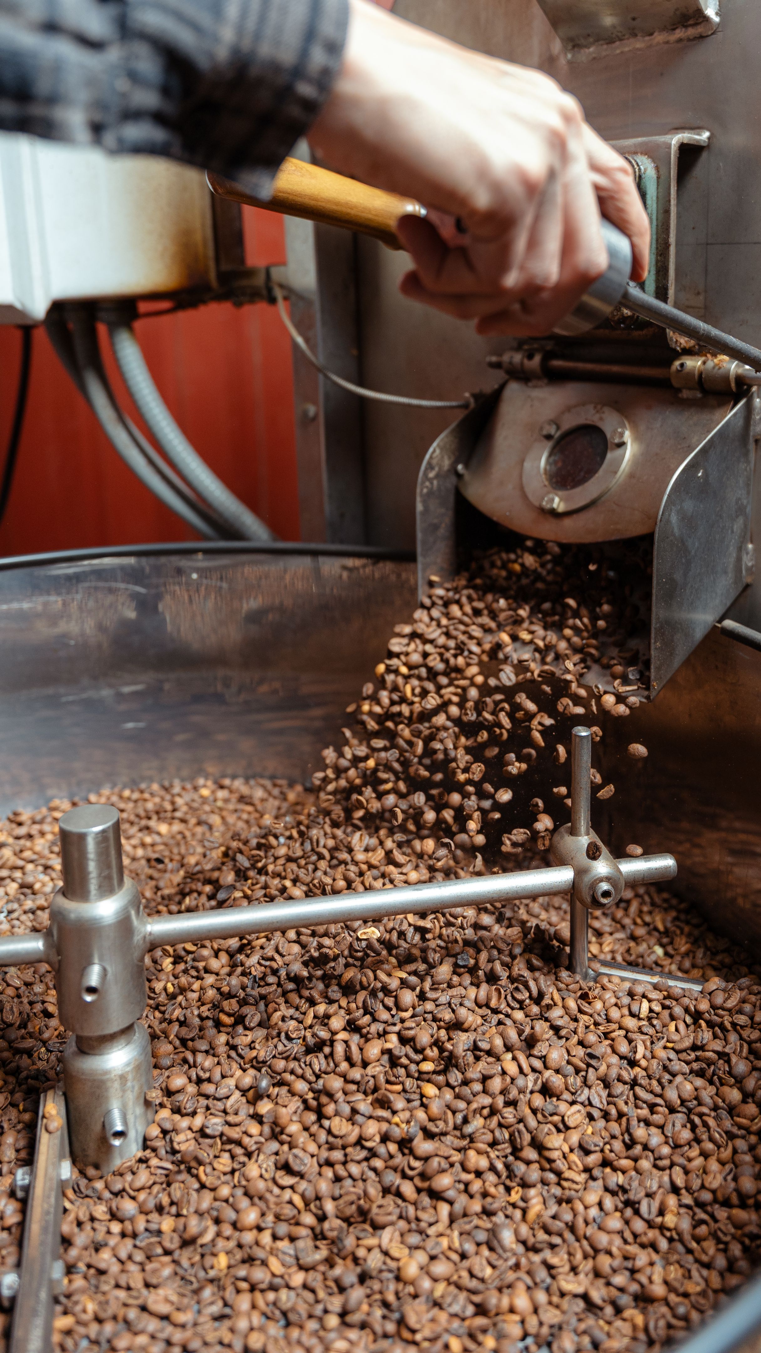 coffee processing