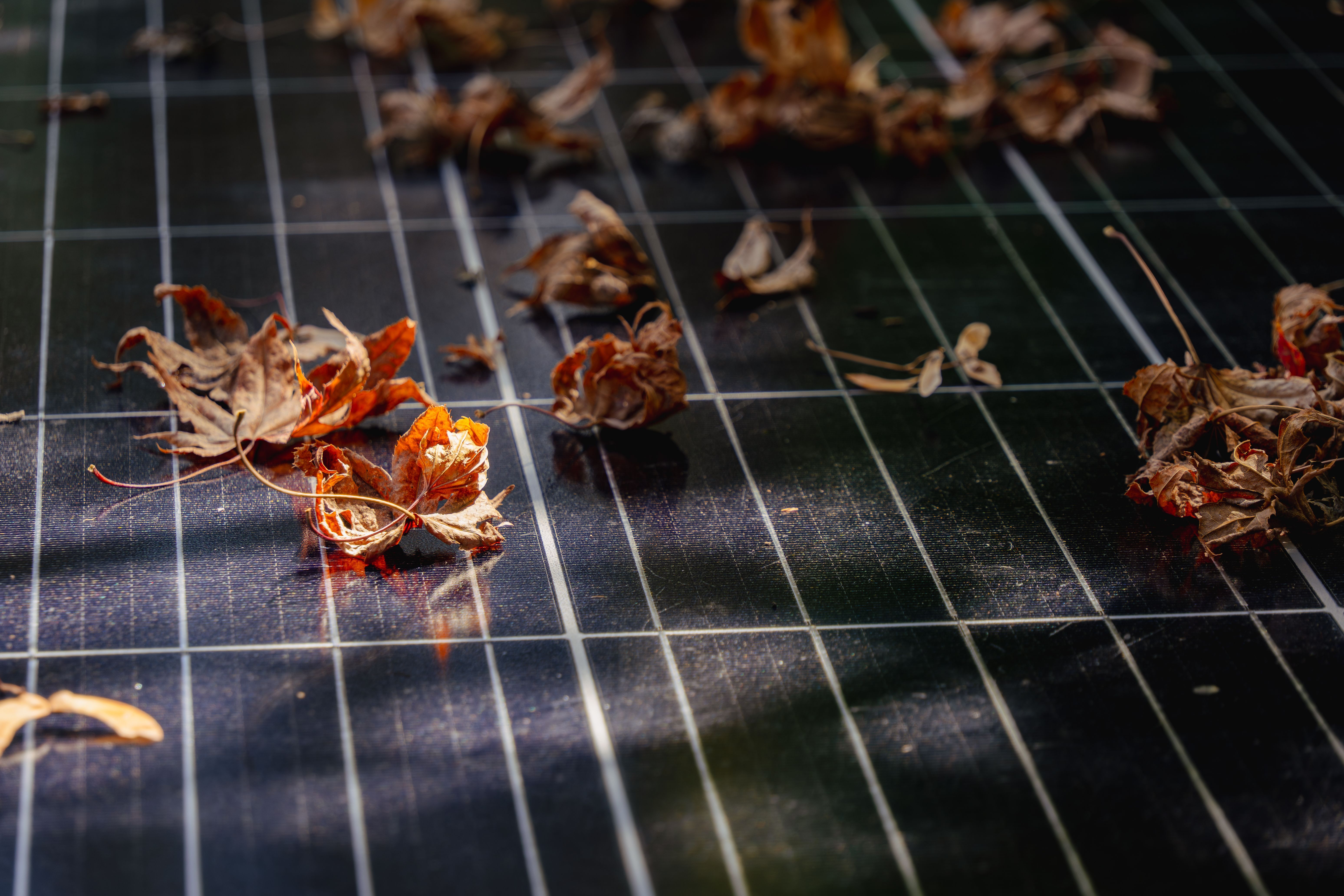 autumn solar panels
