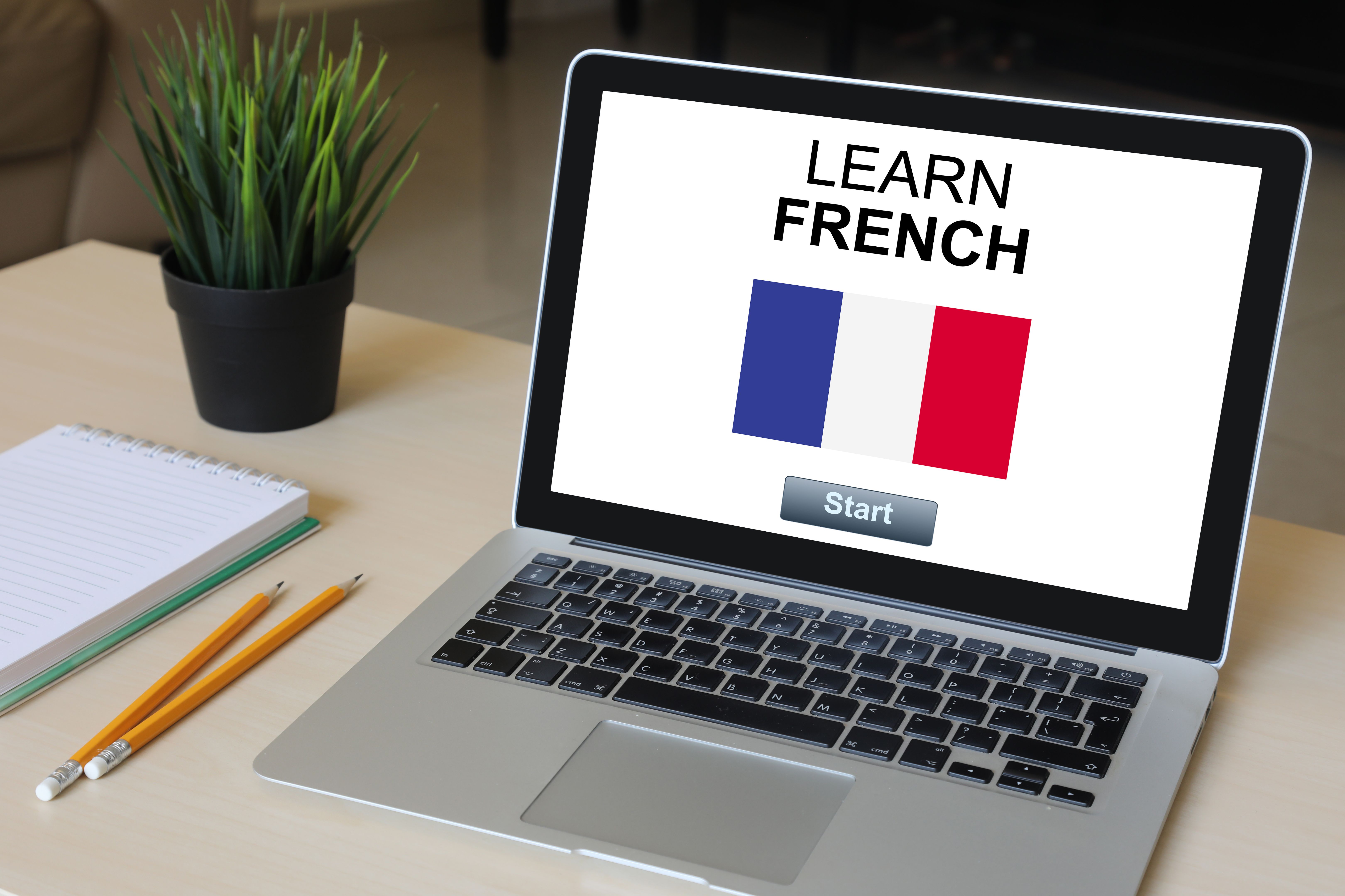 online french classes