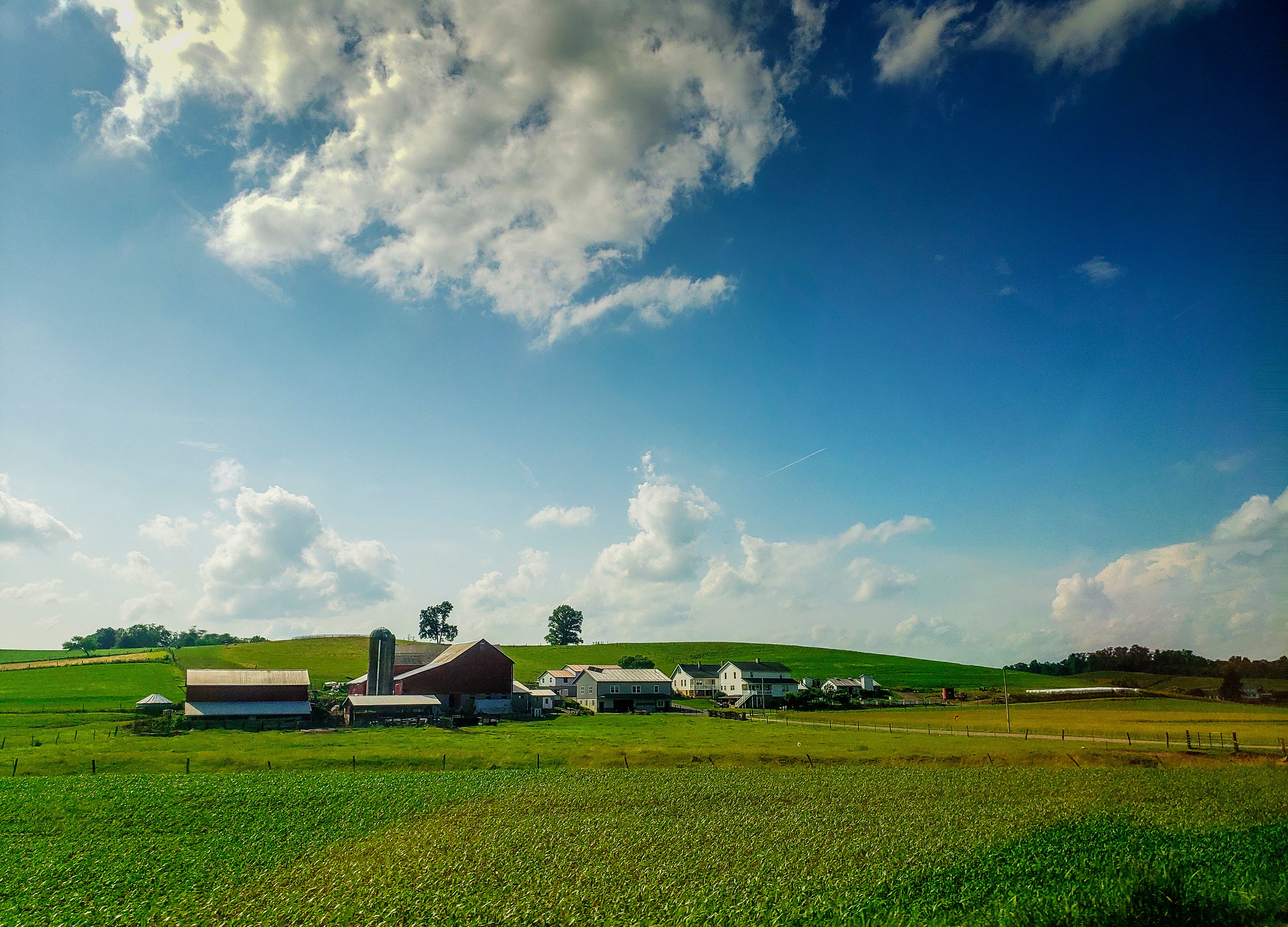peaceful horse ranch