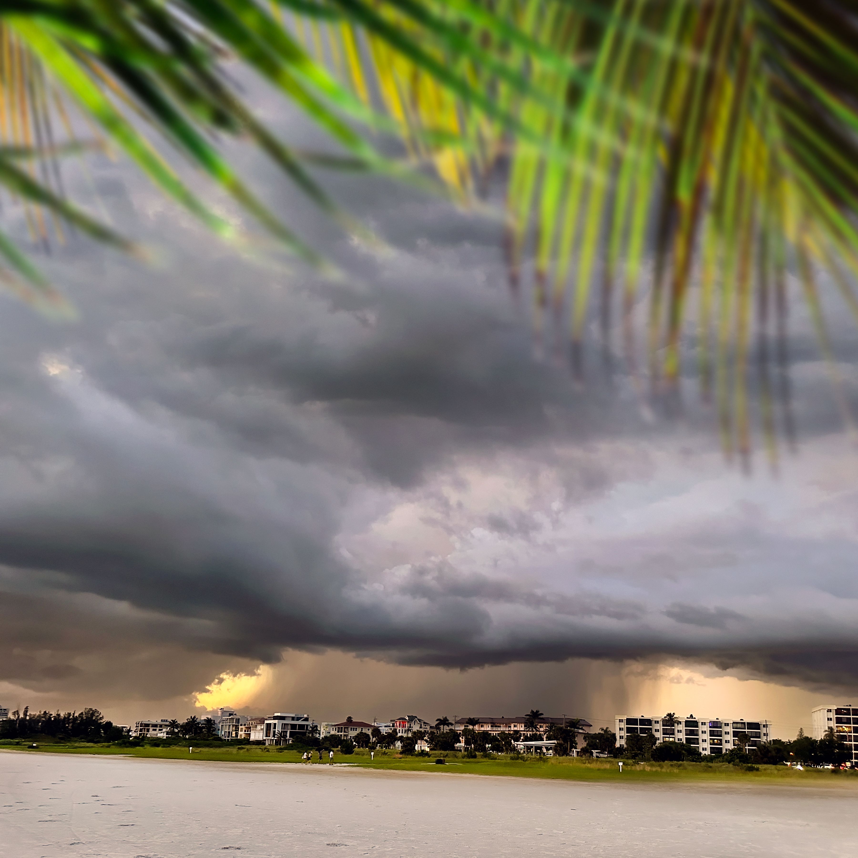 parrish florida weather