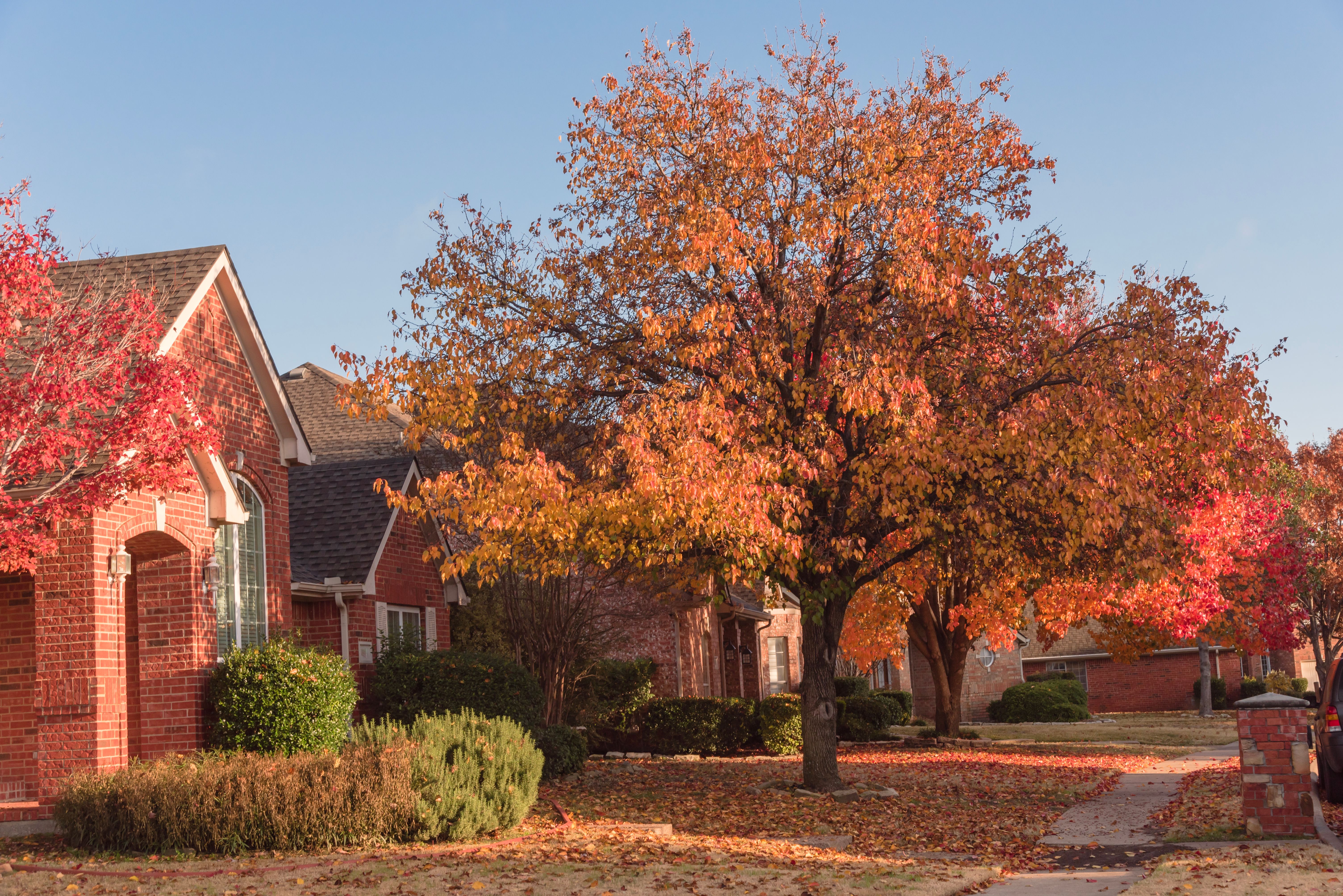 dallas home exterior