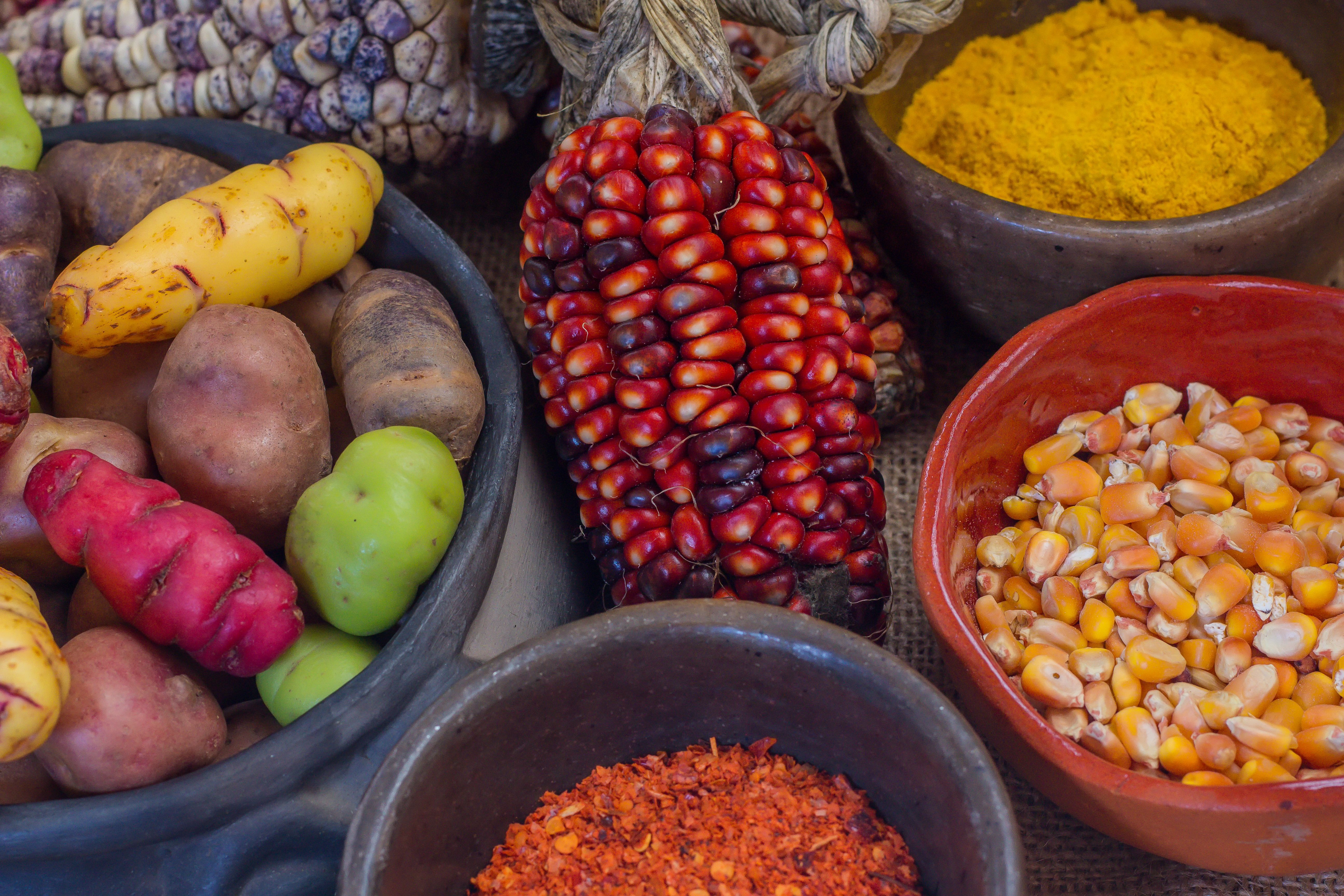 andean ingredients