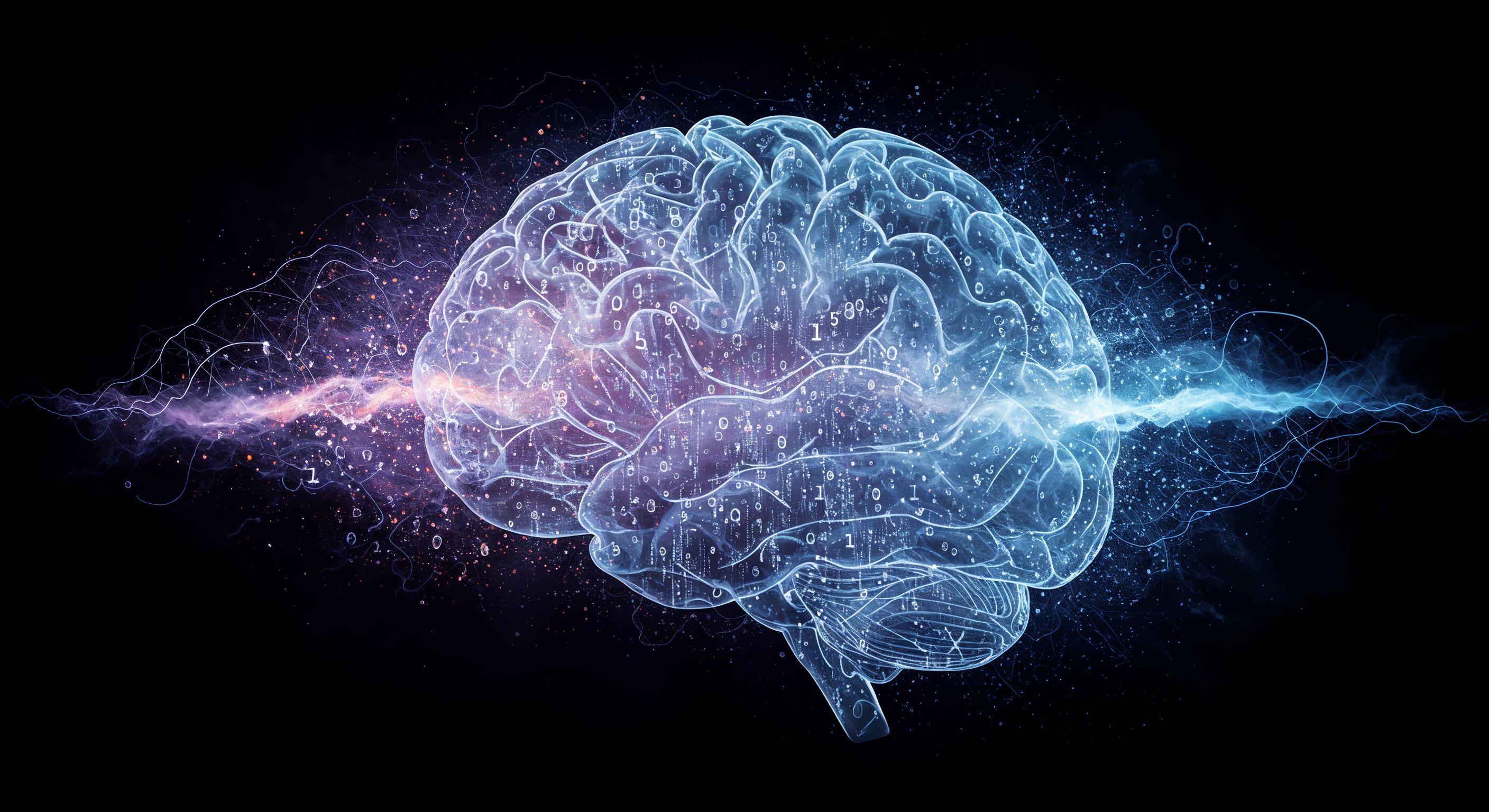 neural network