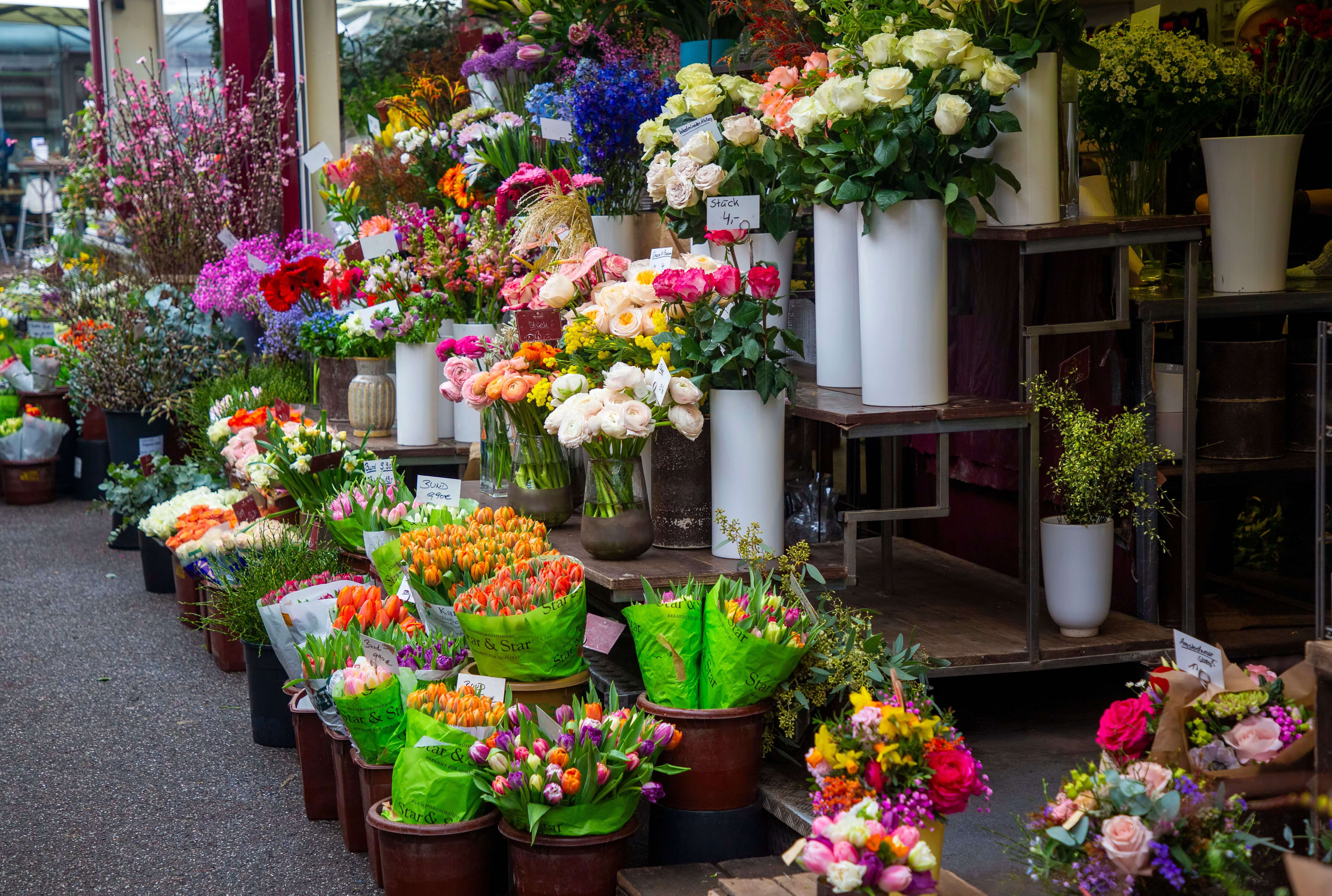 carlsplatz market