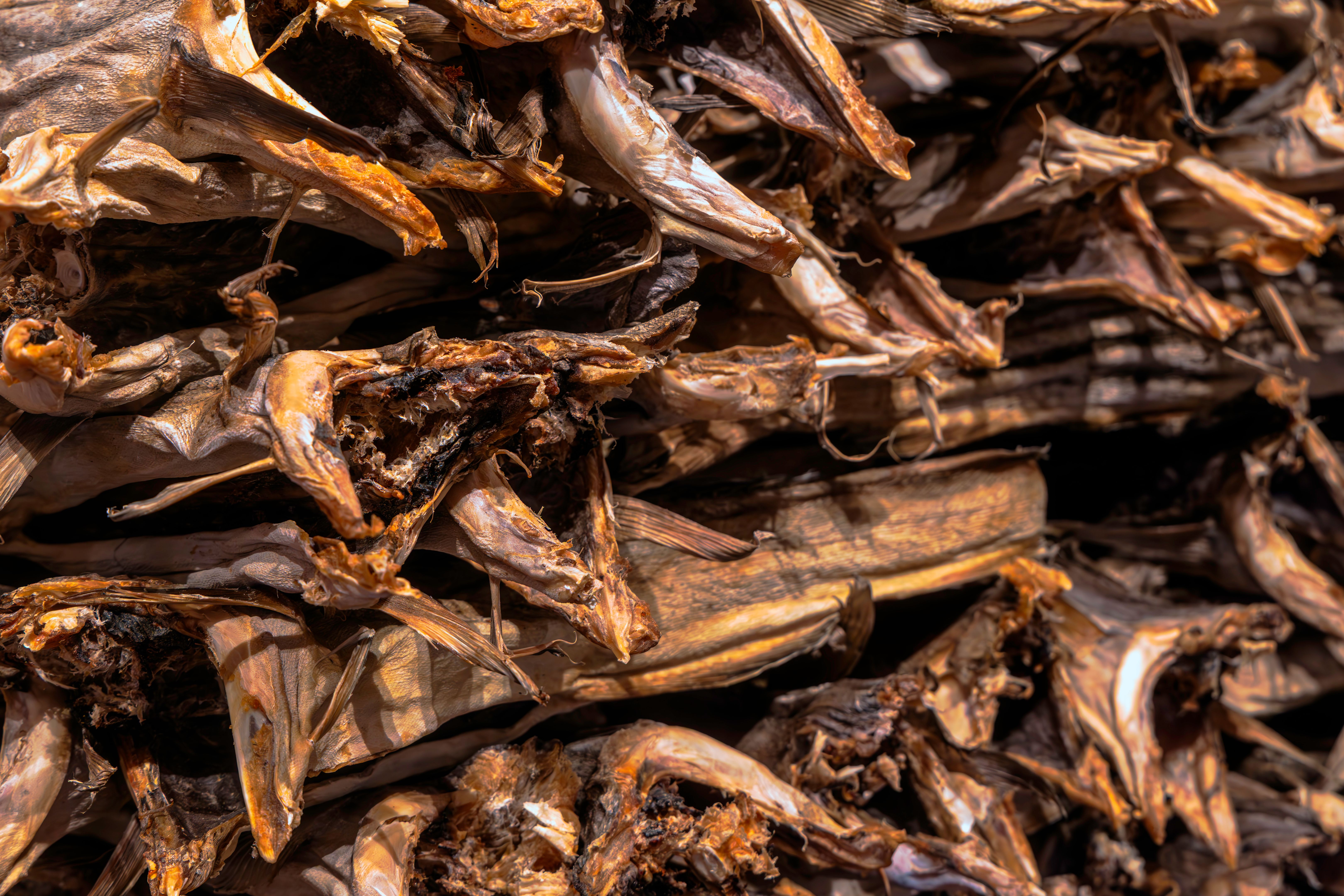 stockfish drying