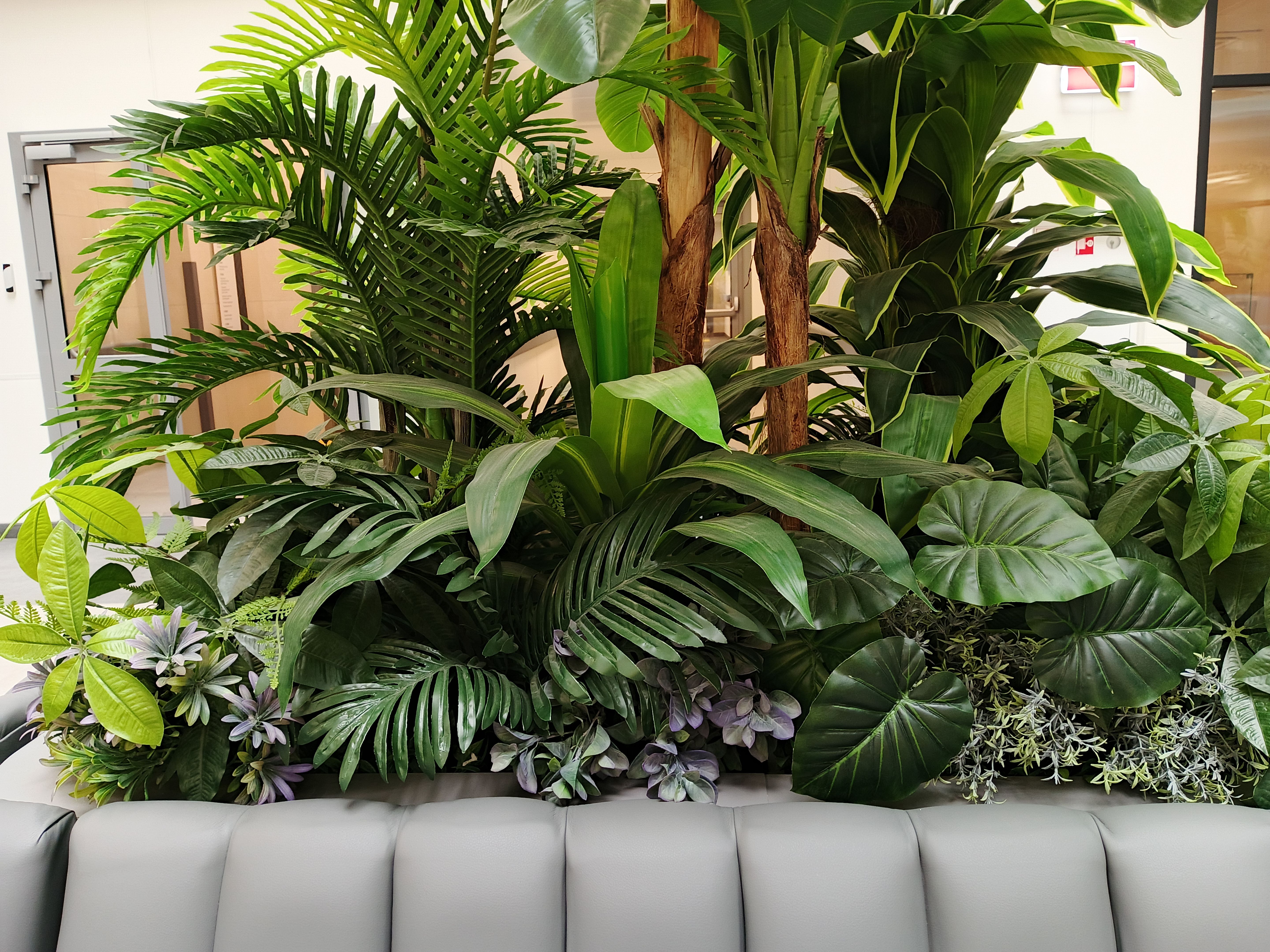 indoor office plants