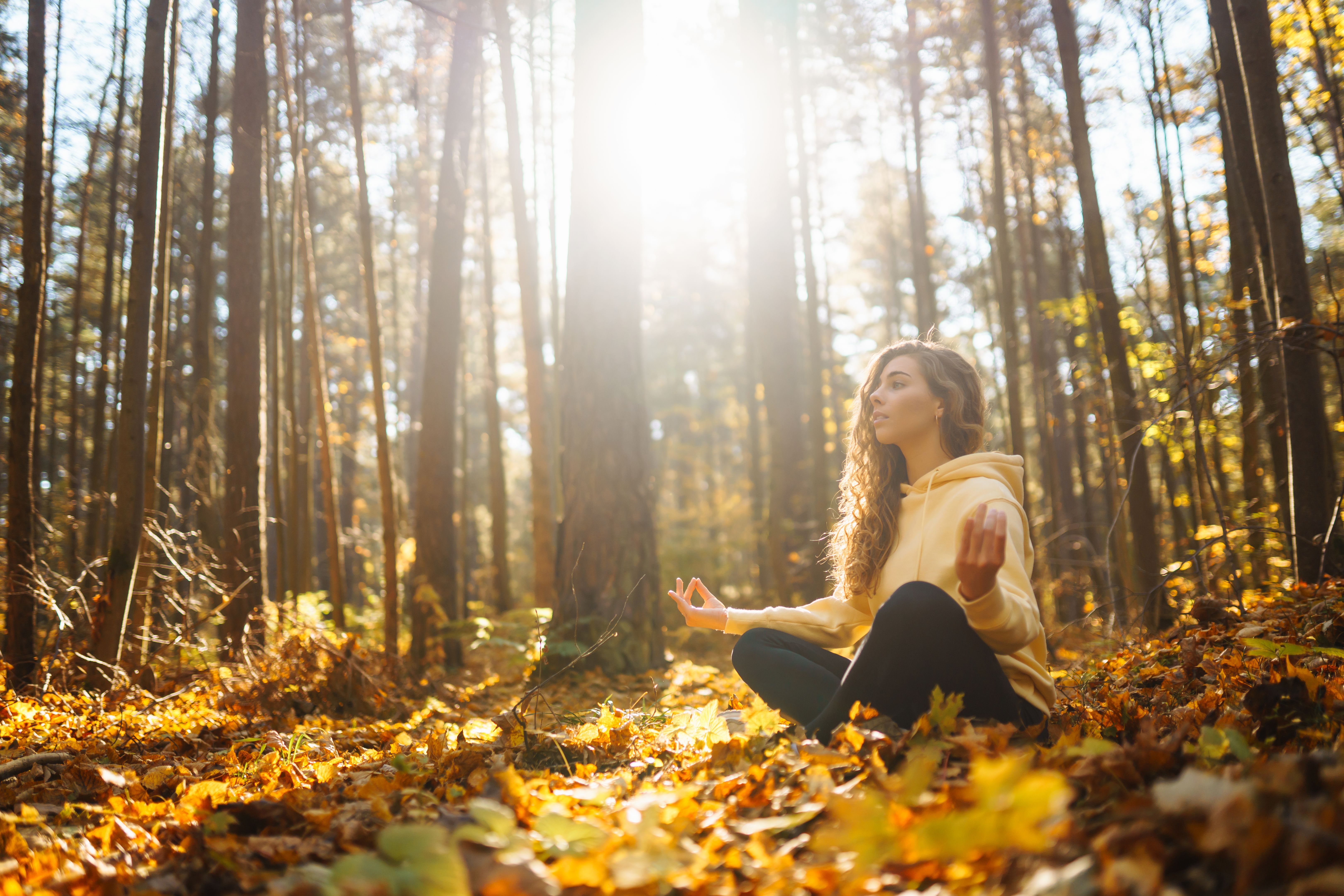 autumn forest yoga
