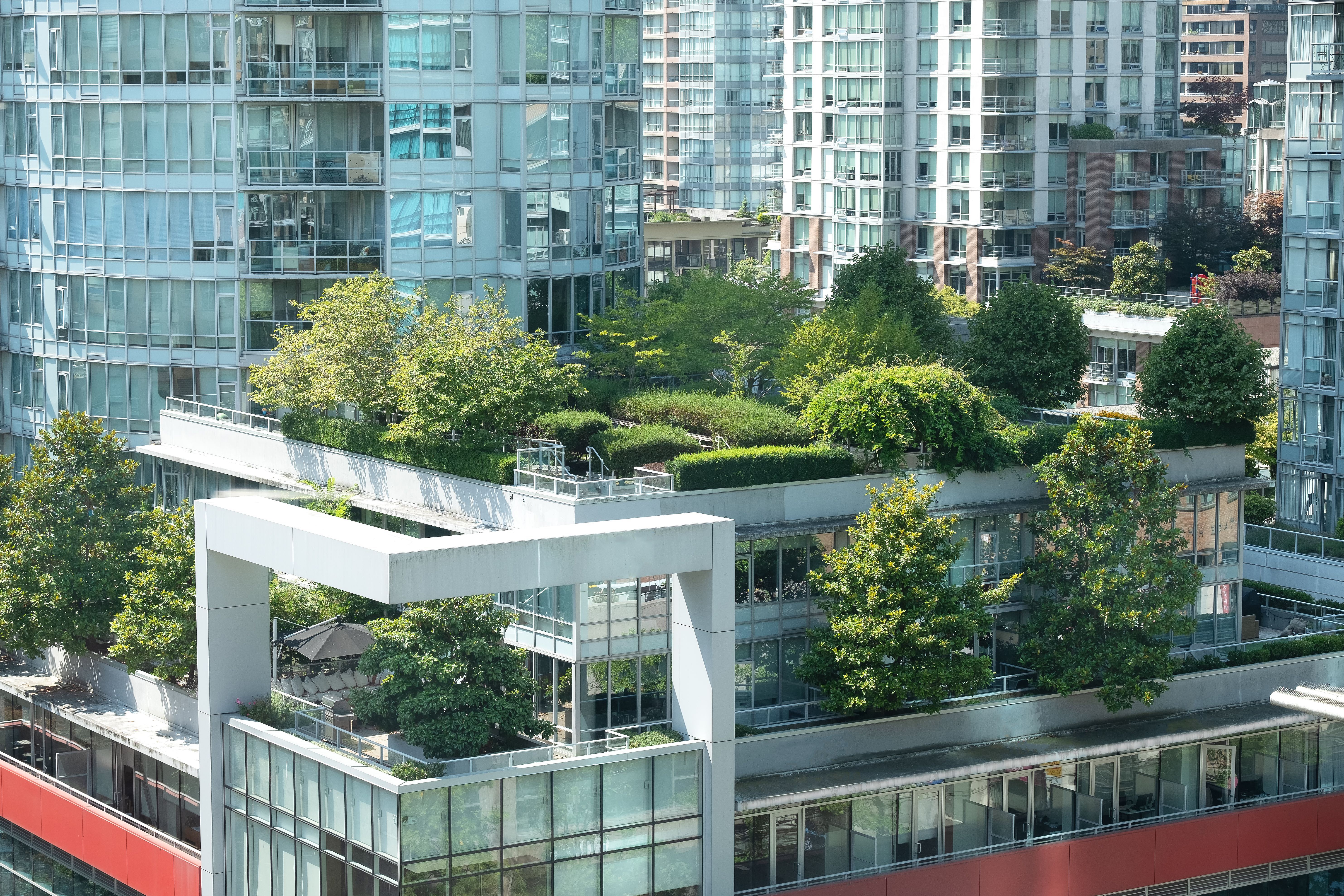 rooftop garden