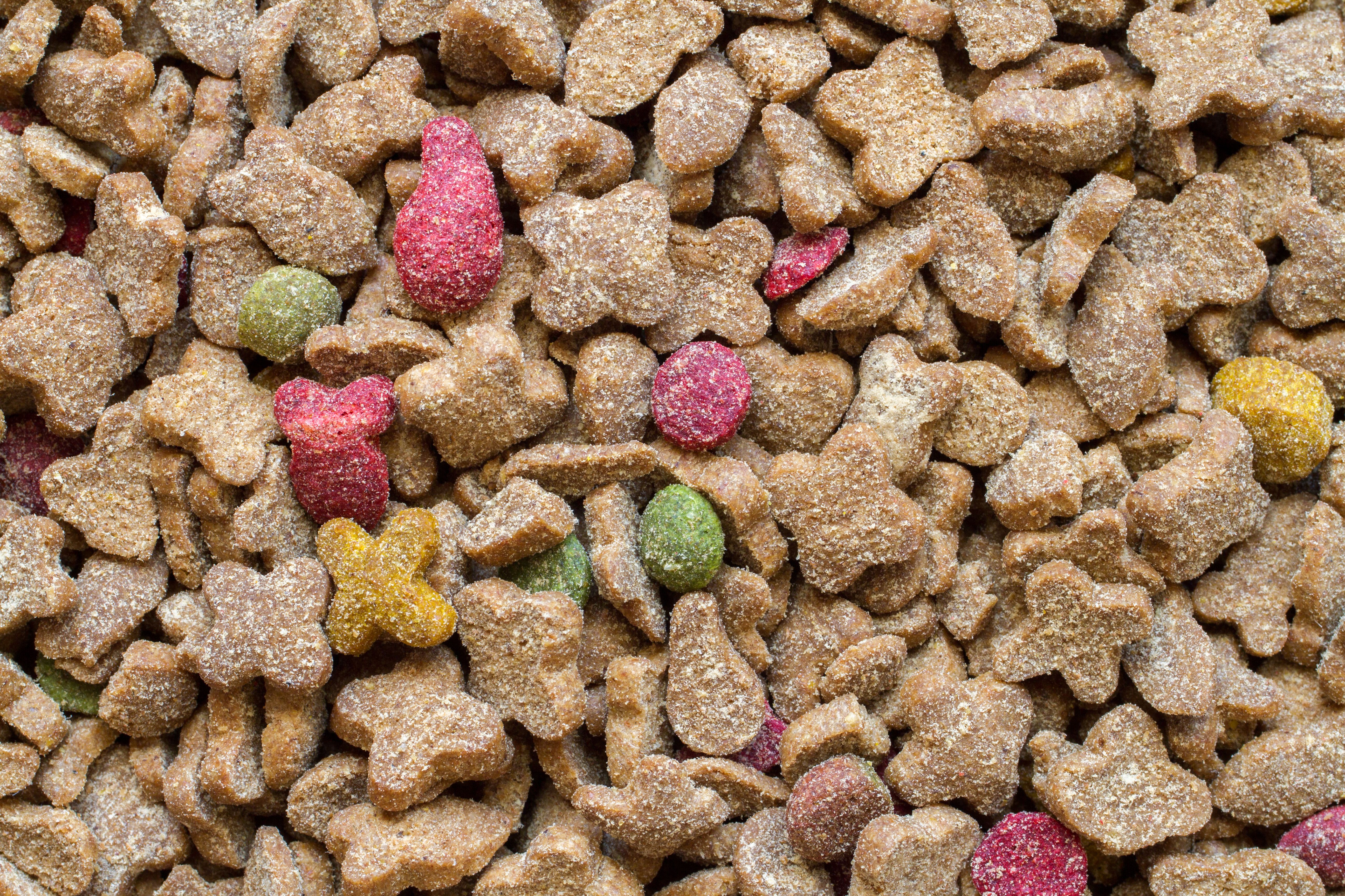 organic pet food
