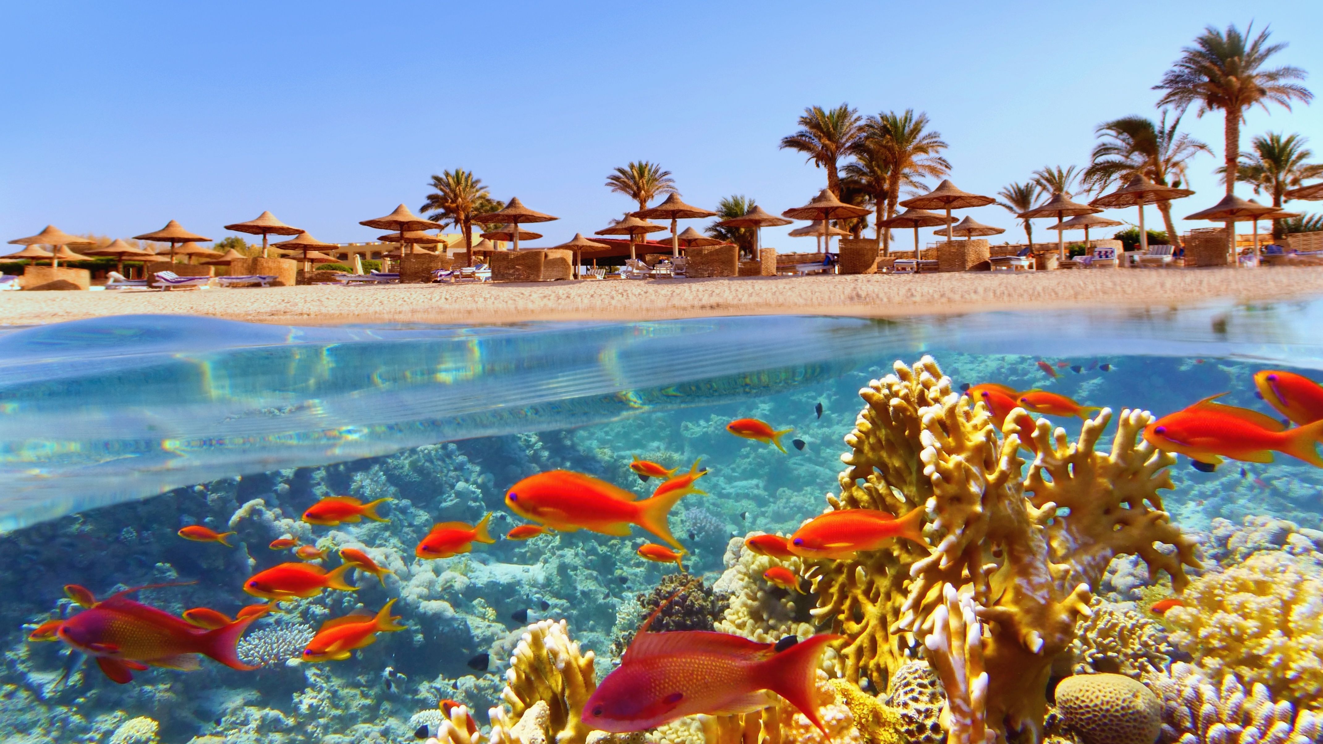 snorkeling egypt