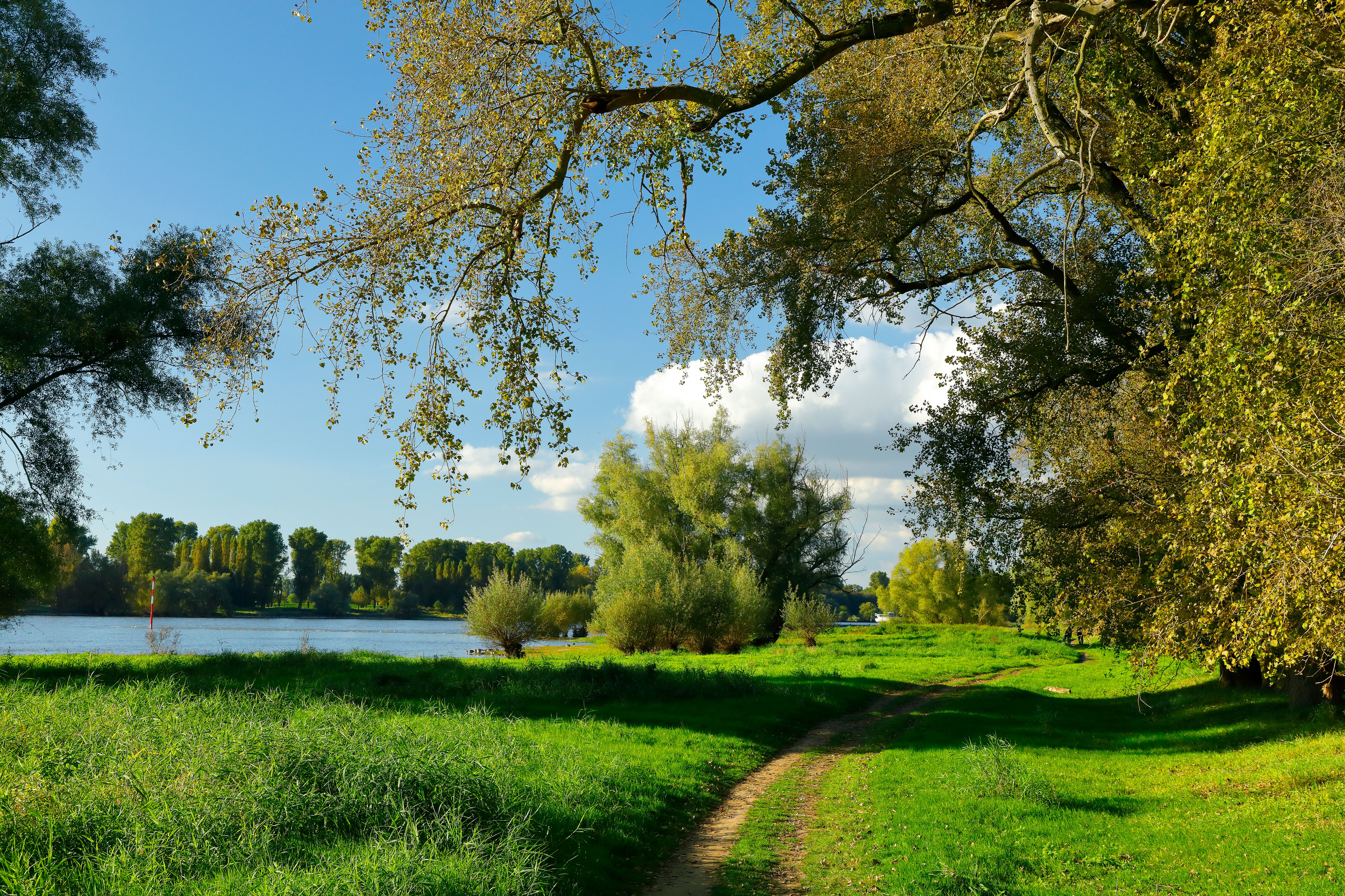river rhine