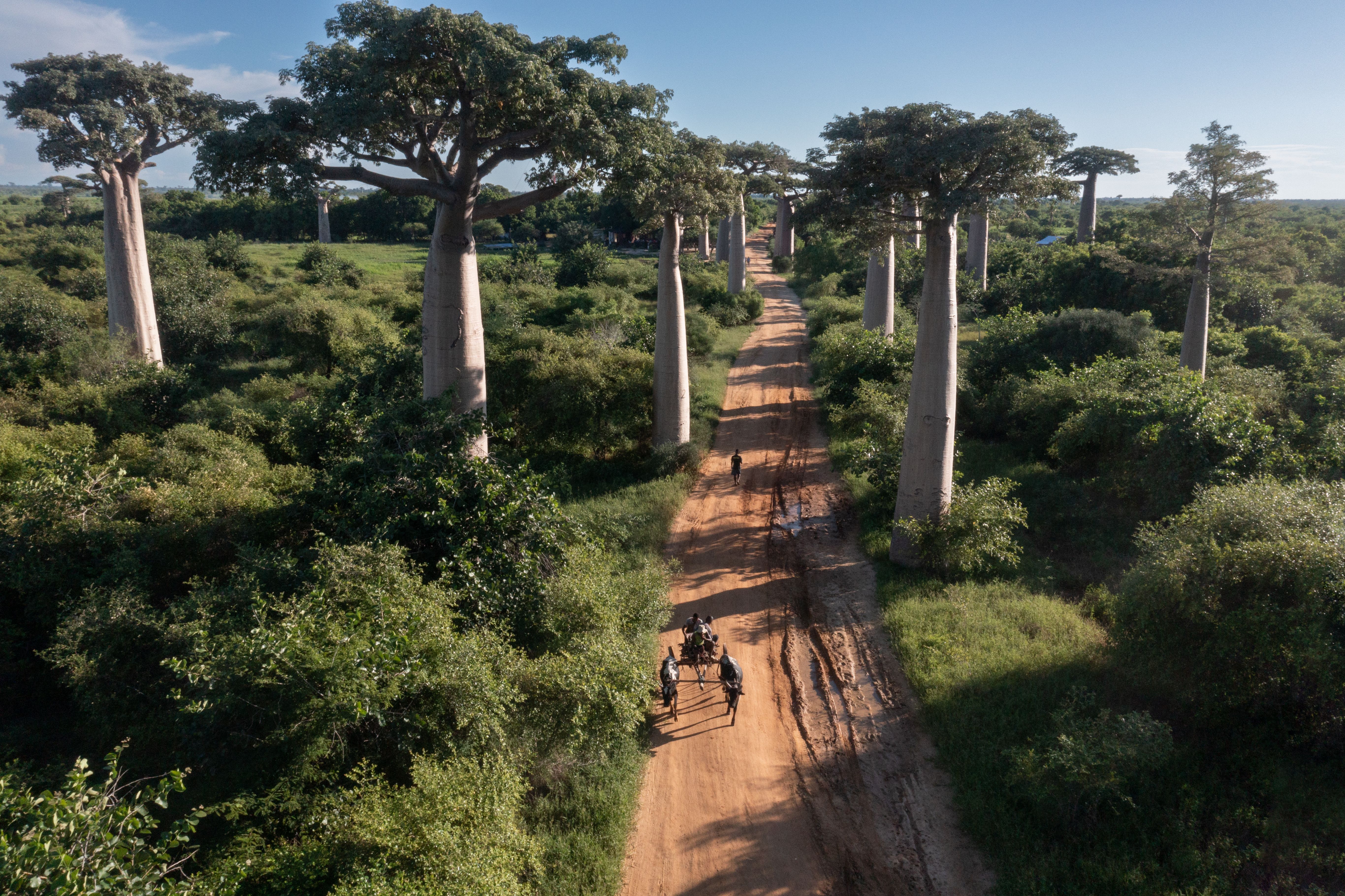 rainy season Madagascar