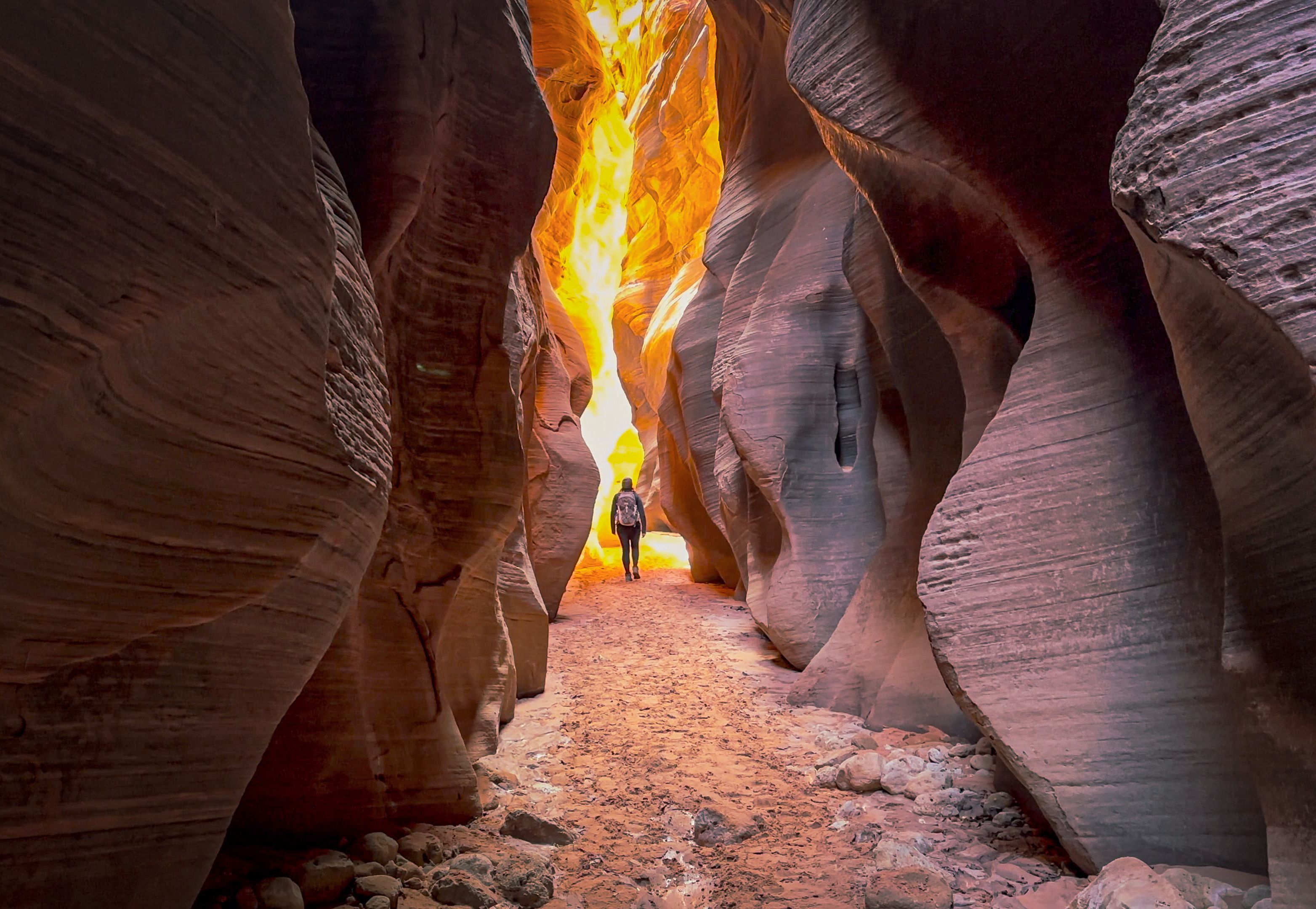 kane county landscape
