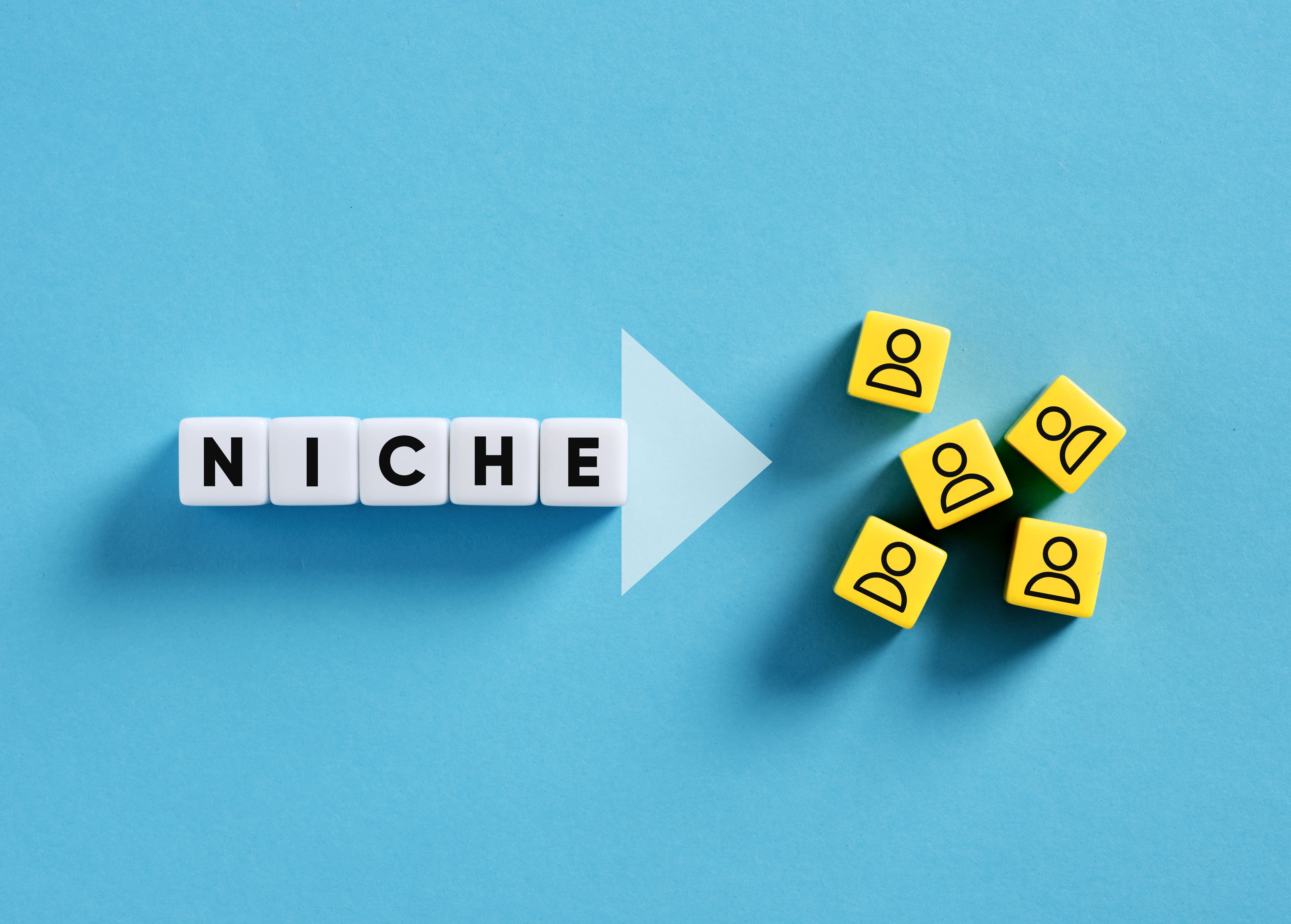 Niche market targeting strategy with cubes on blue background