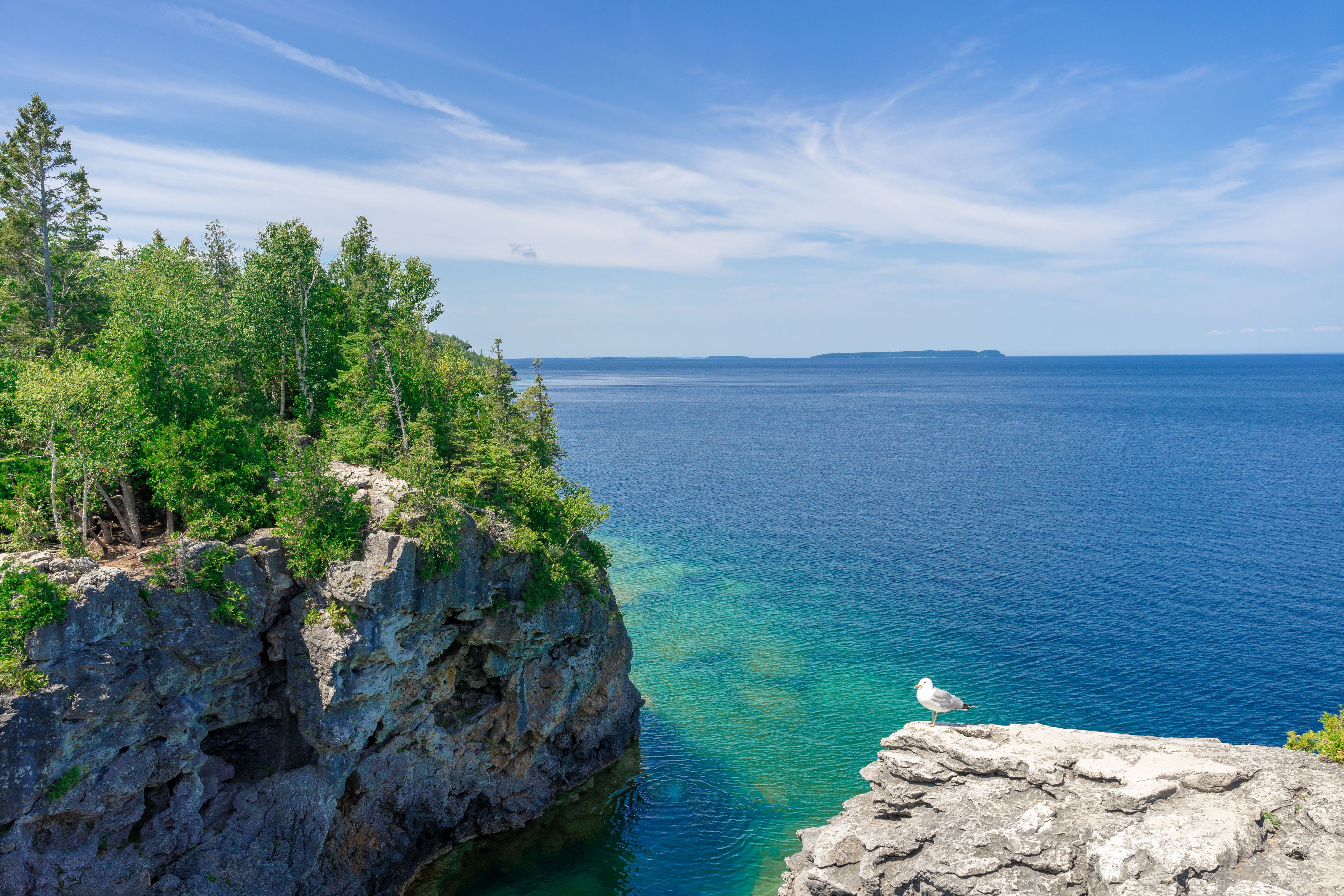 canadian landscape