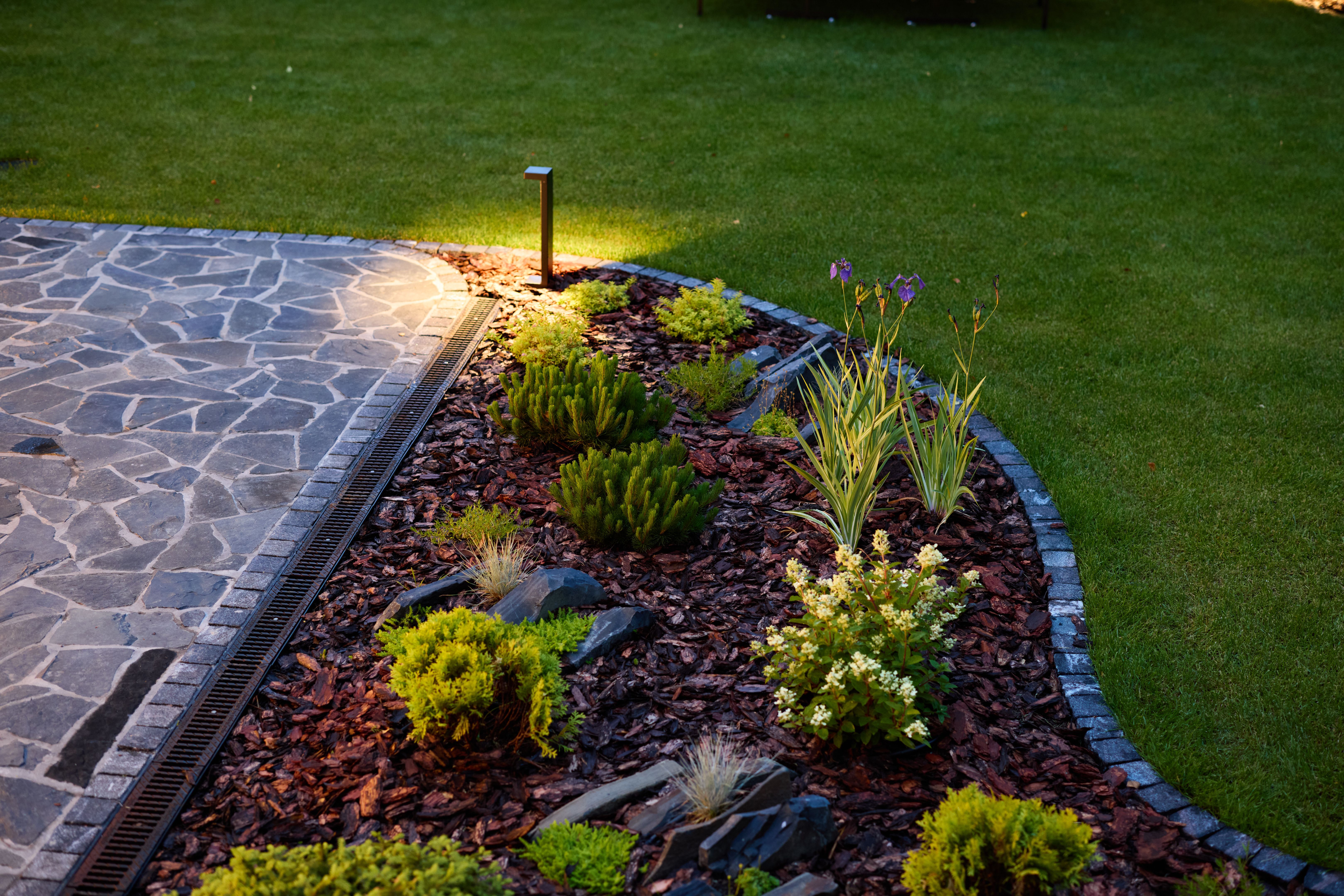 landscape lighting
