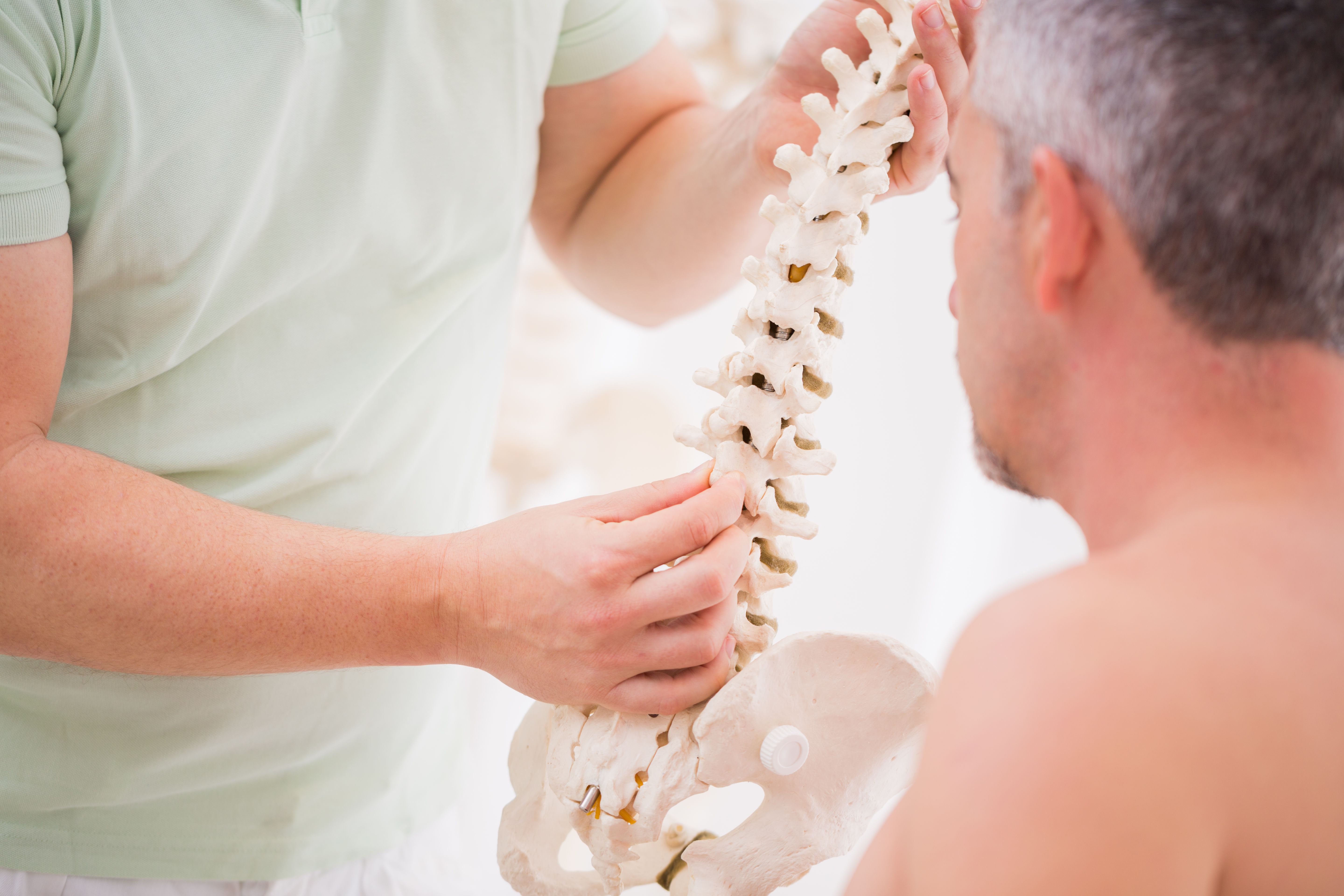 osteopath showing the vertebras of the spin to his patient