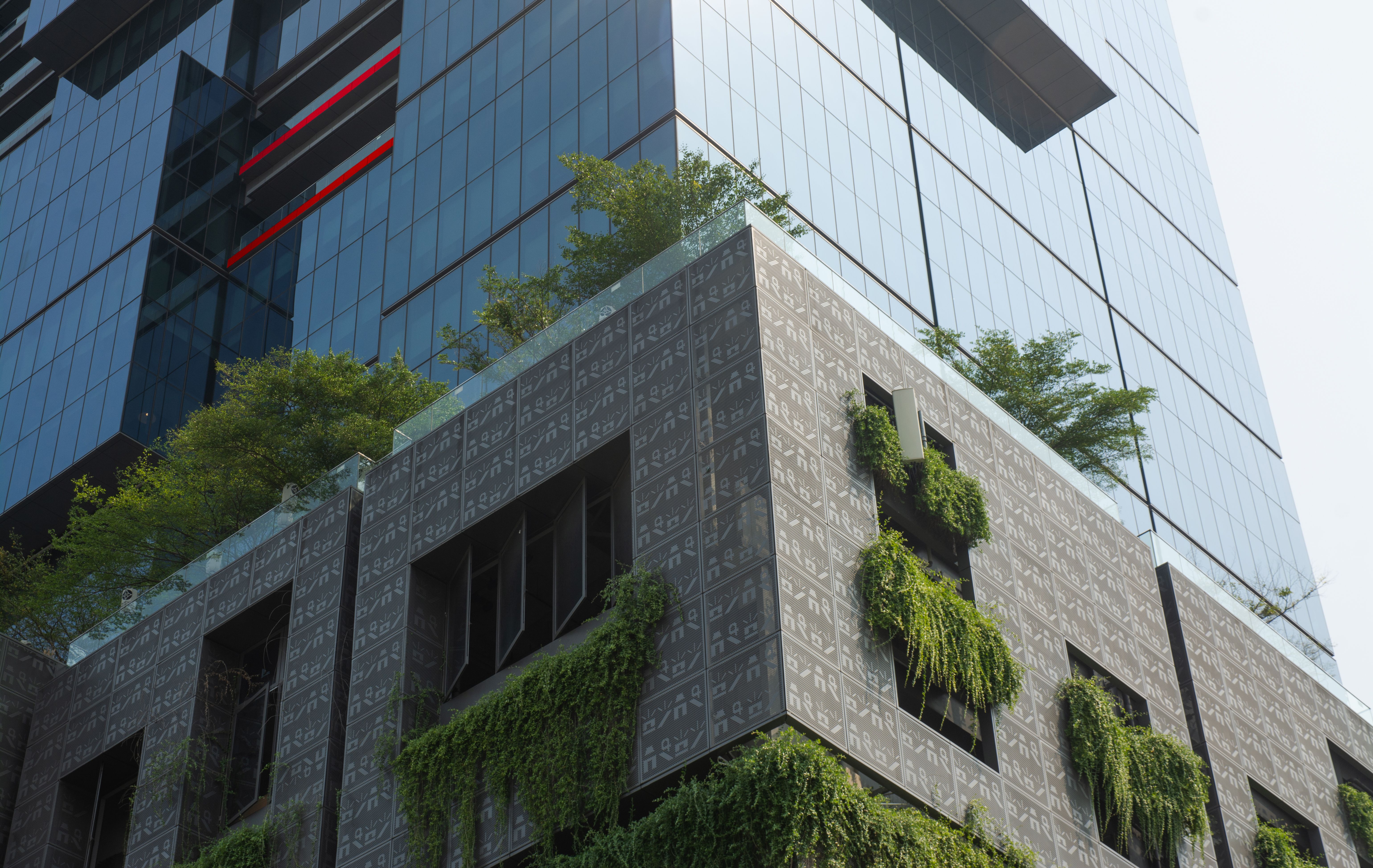 healthy living healthy living