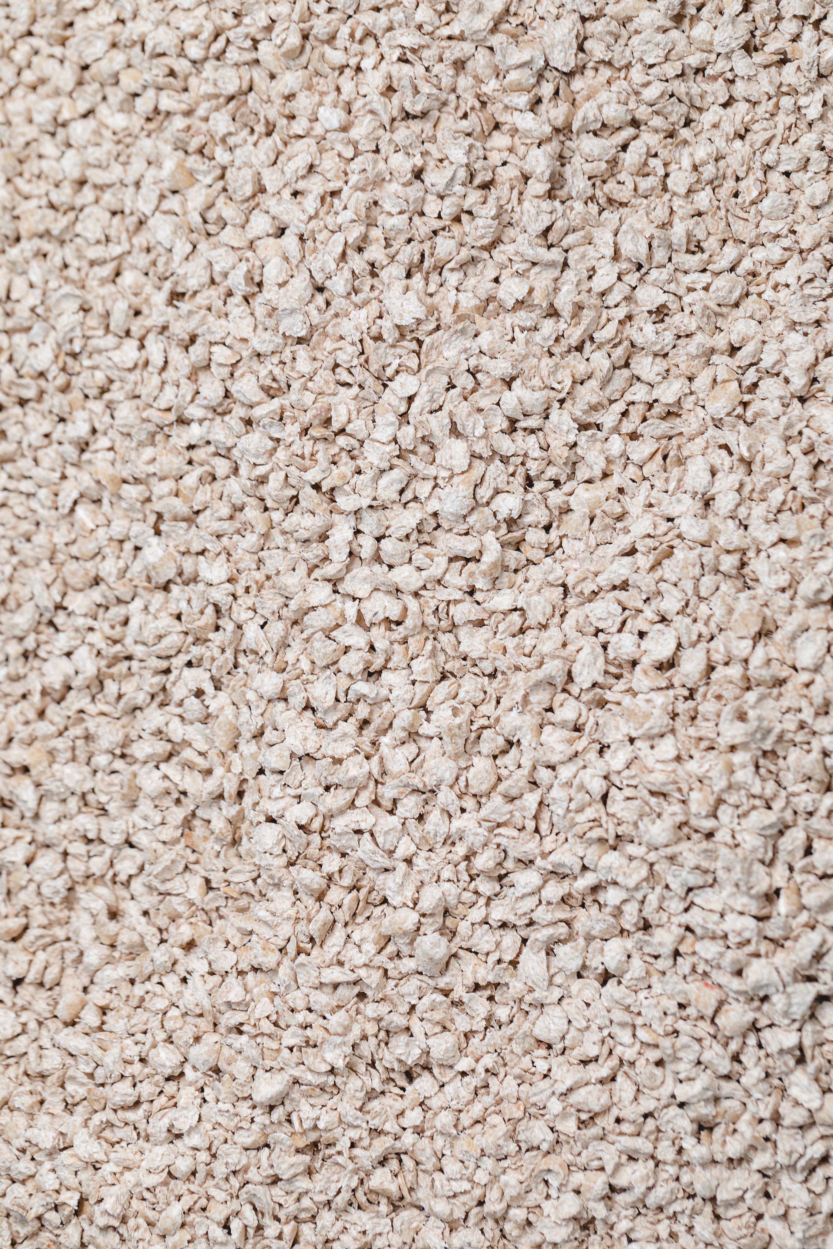 Natural biodegradable wood pellet litter in cat litterbox, closeup