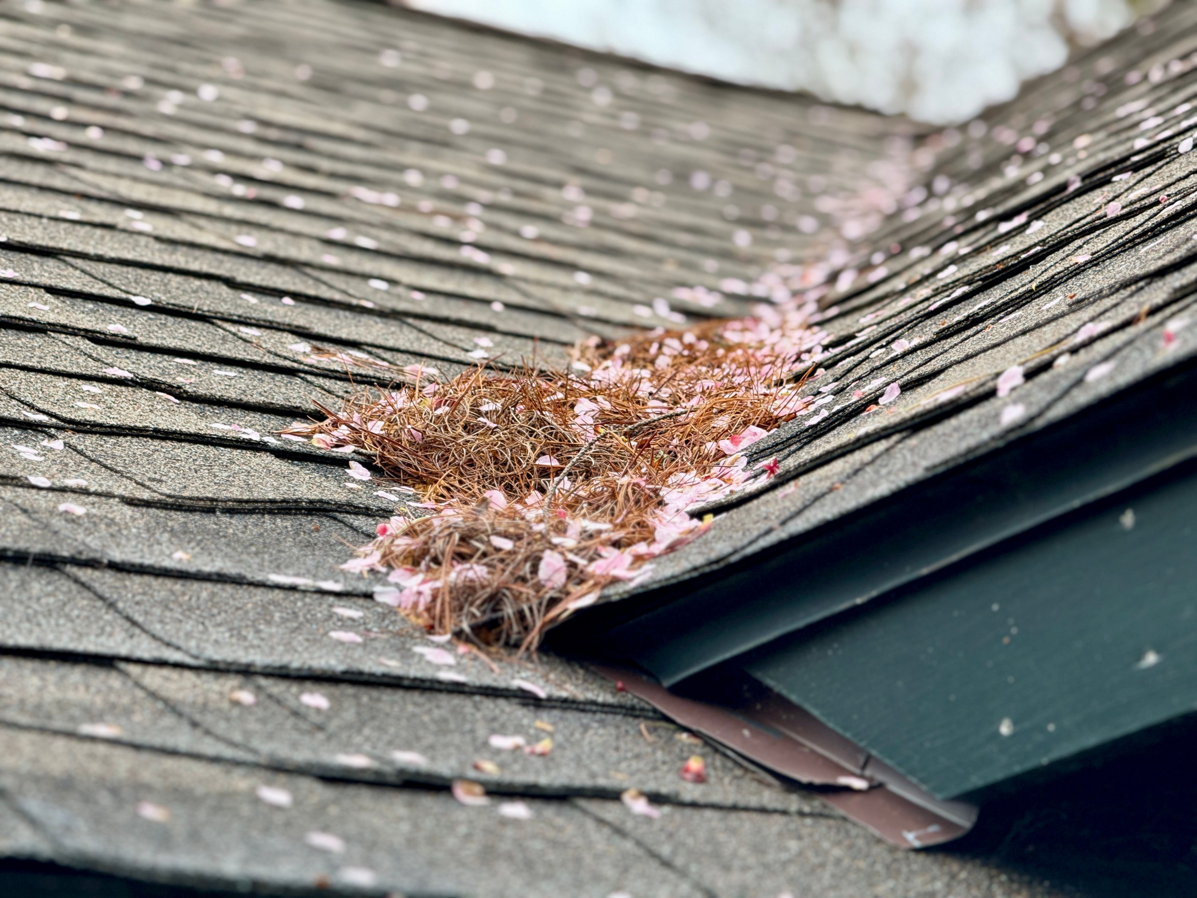 Debris on building roof Debris on building roof