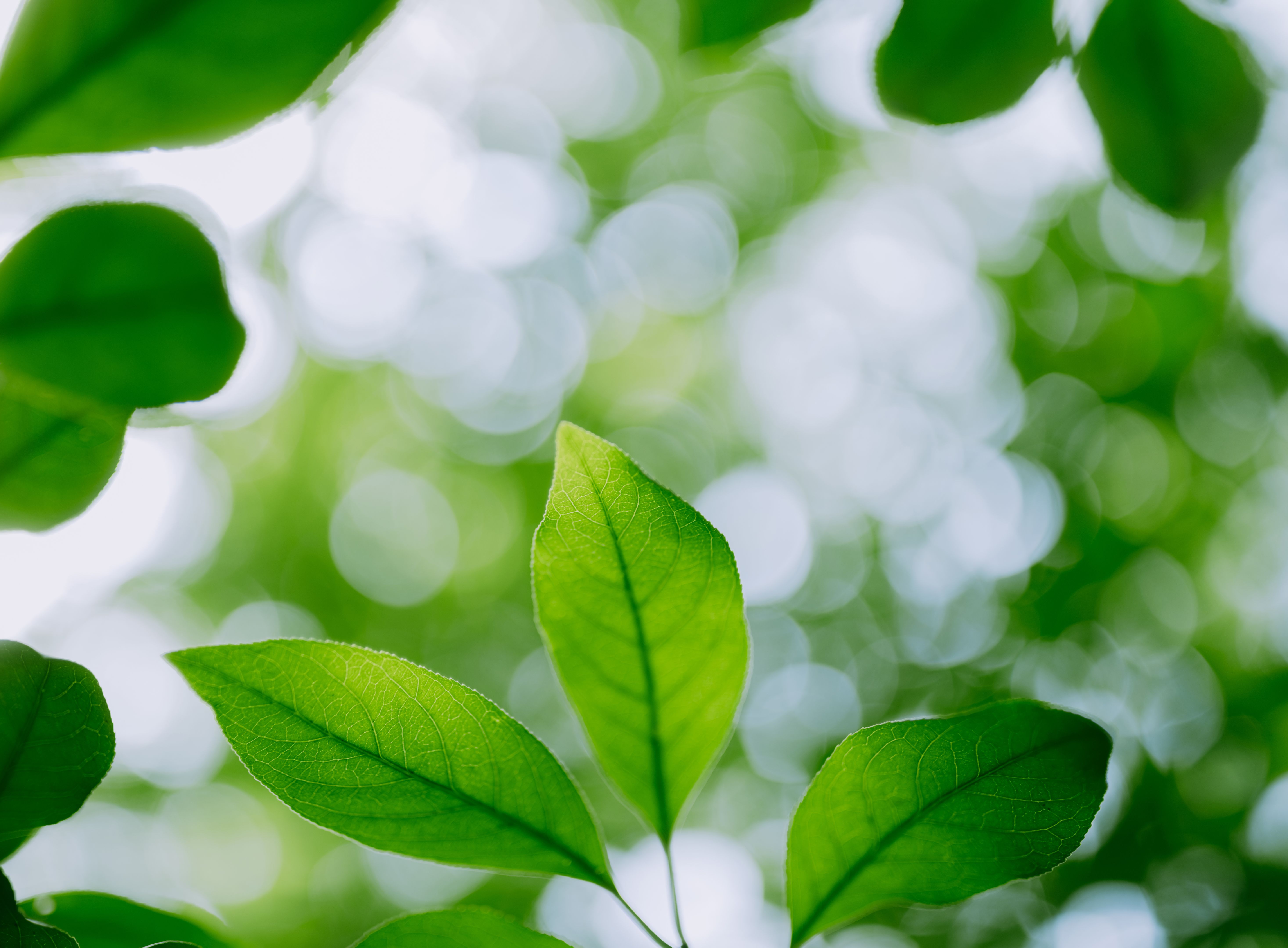 seasonal investments