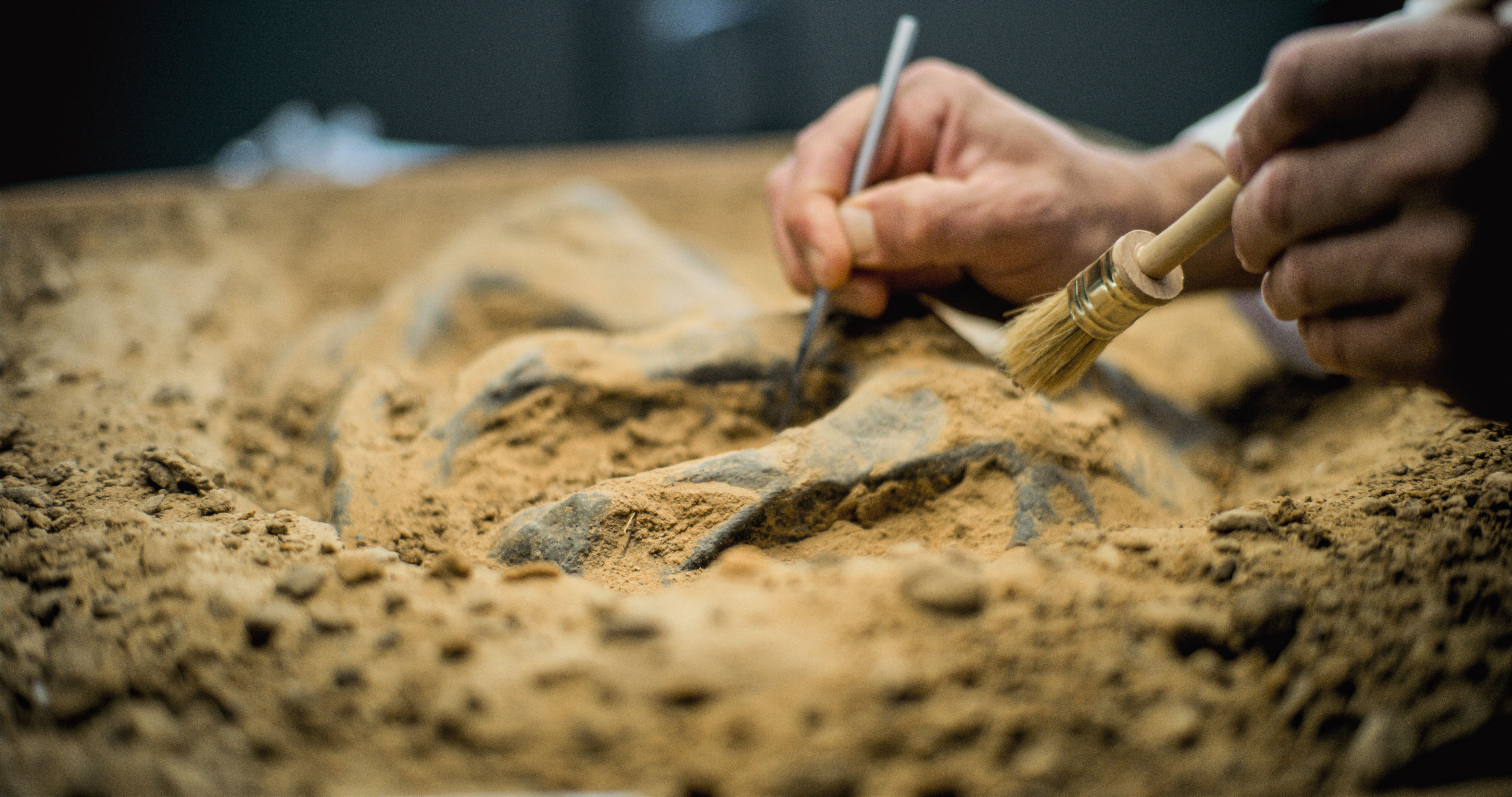 archaeology technology