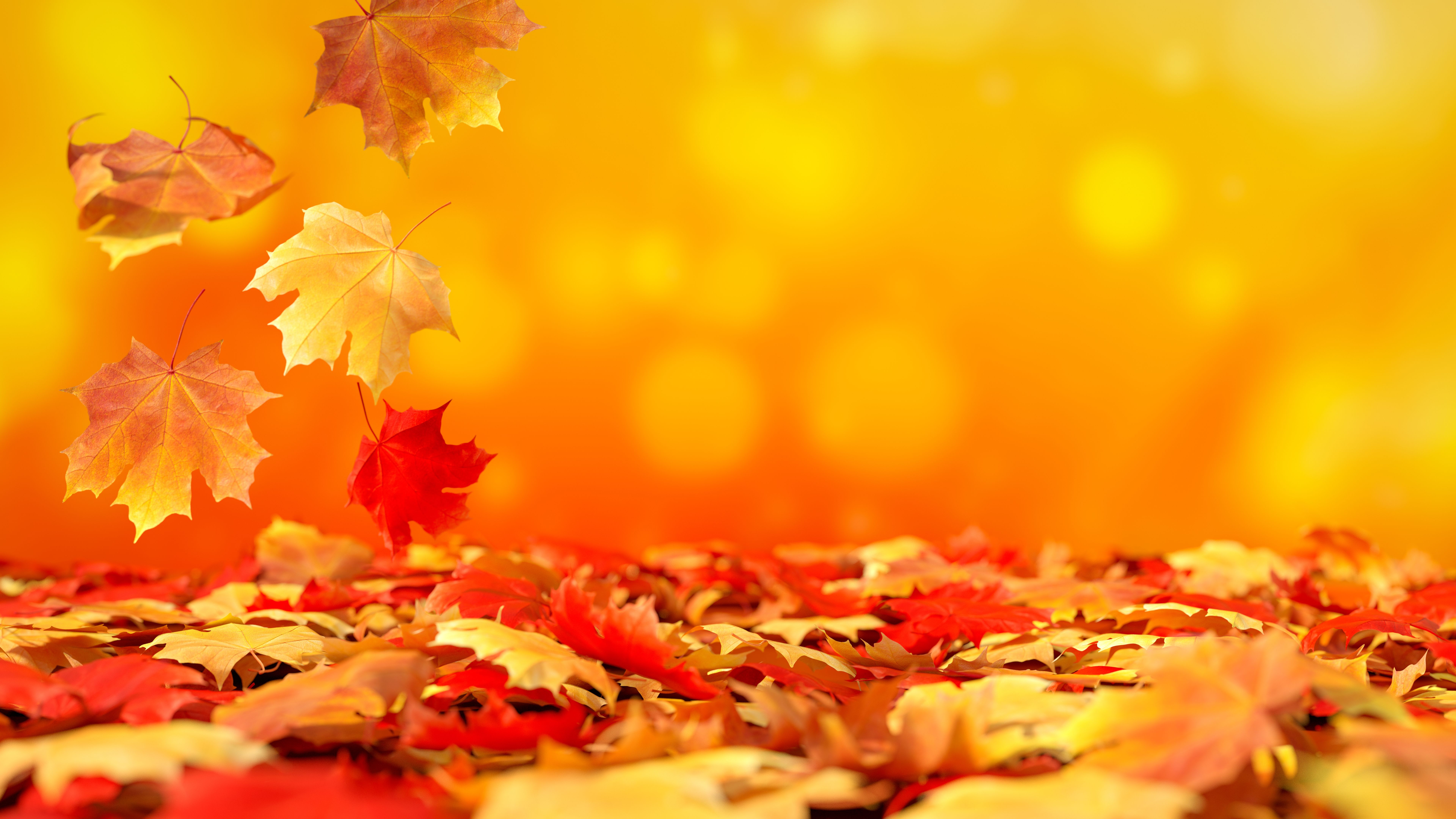 autumn corporate event