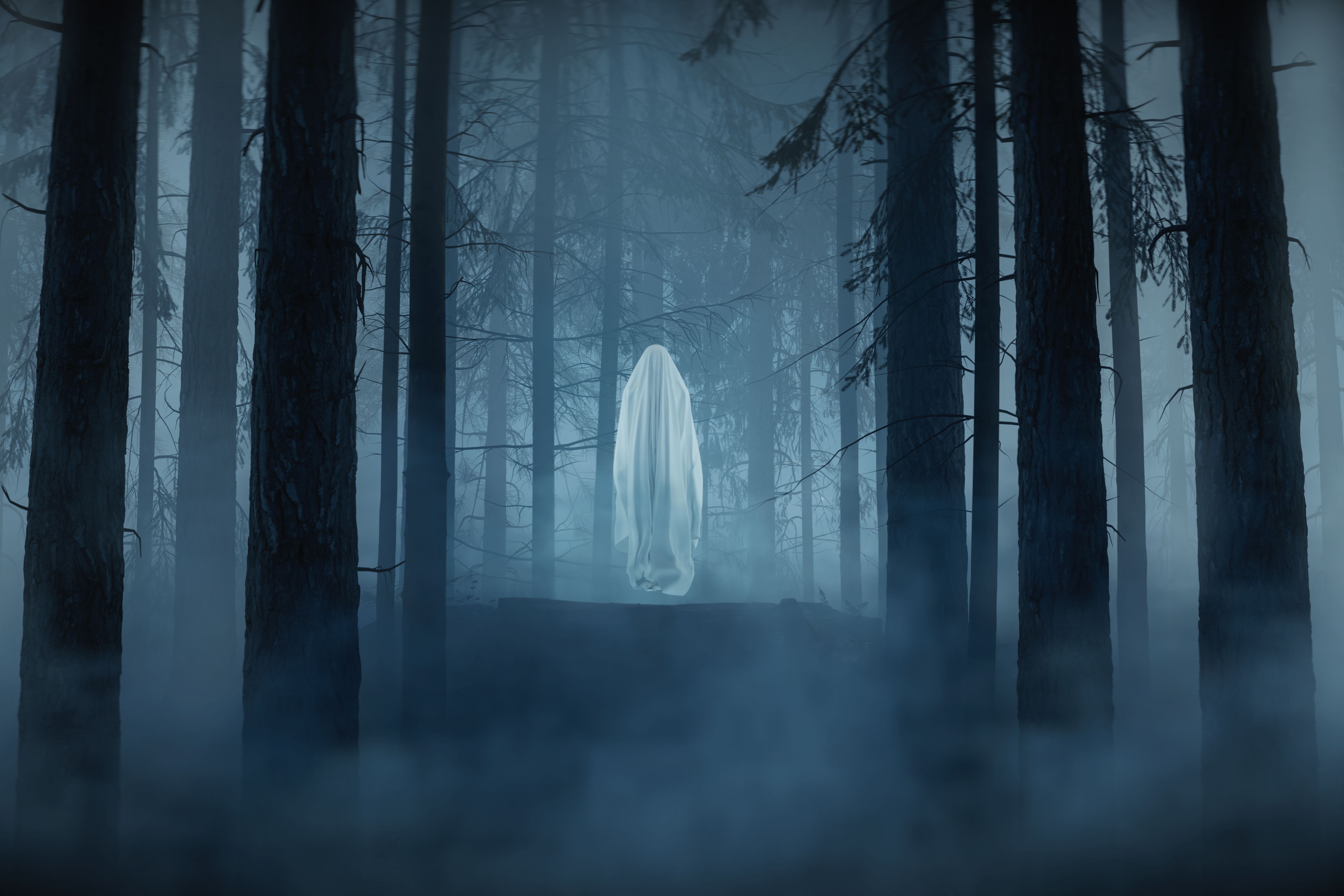 enchanted forest costume