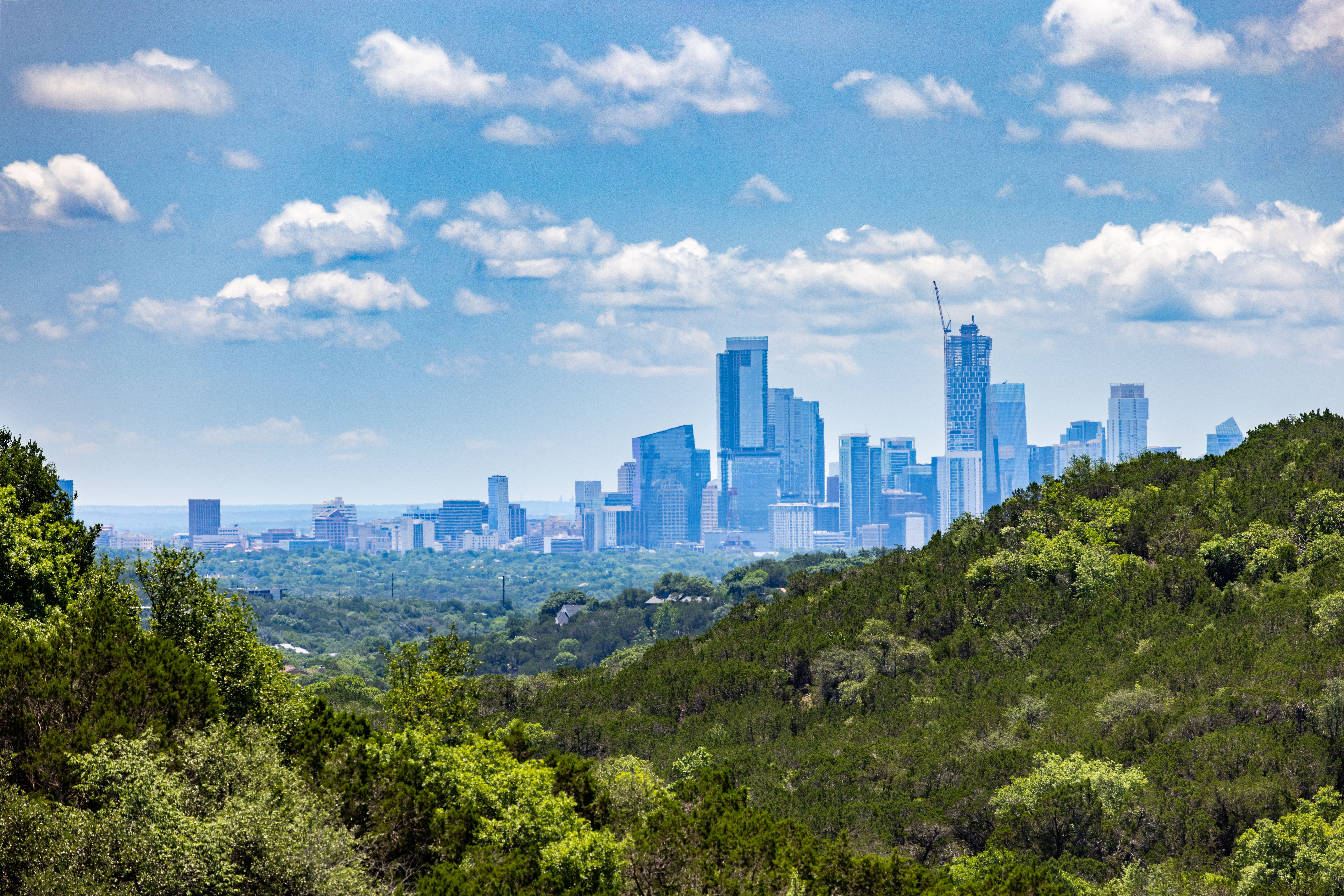austin landscape