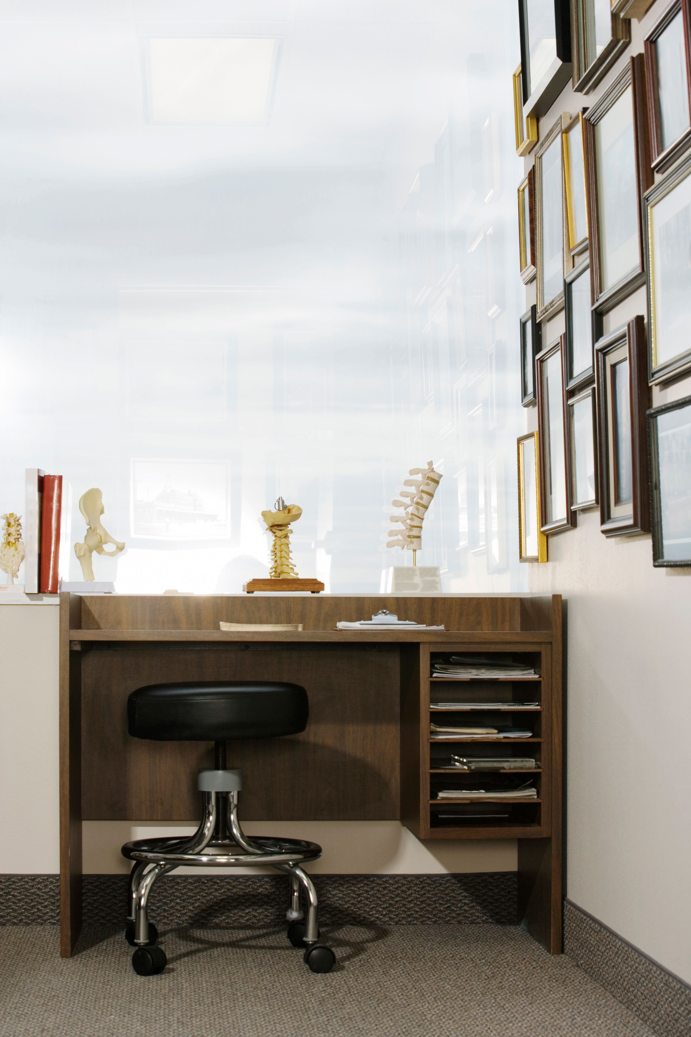 chiropractor diploma