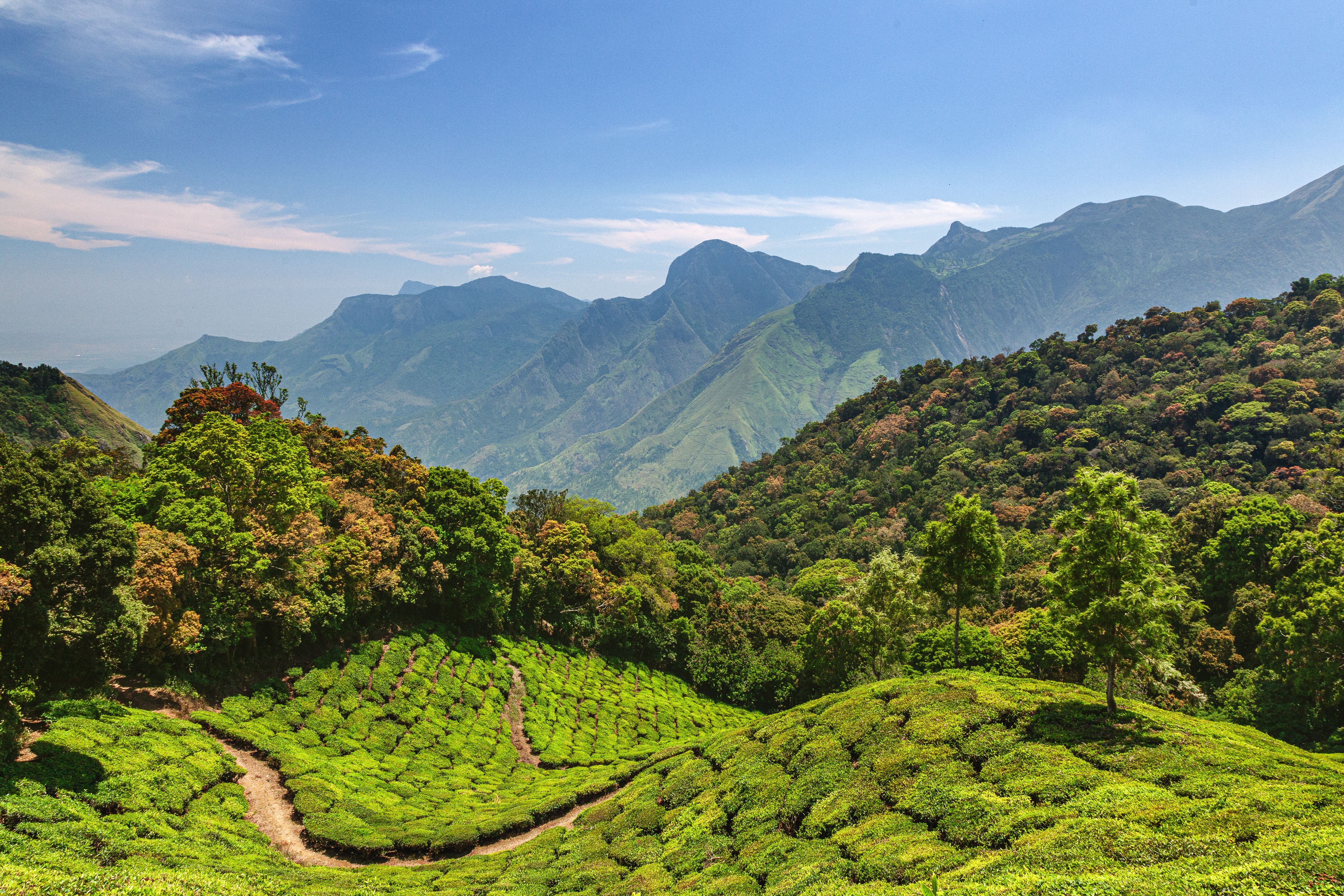 India landscape