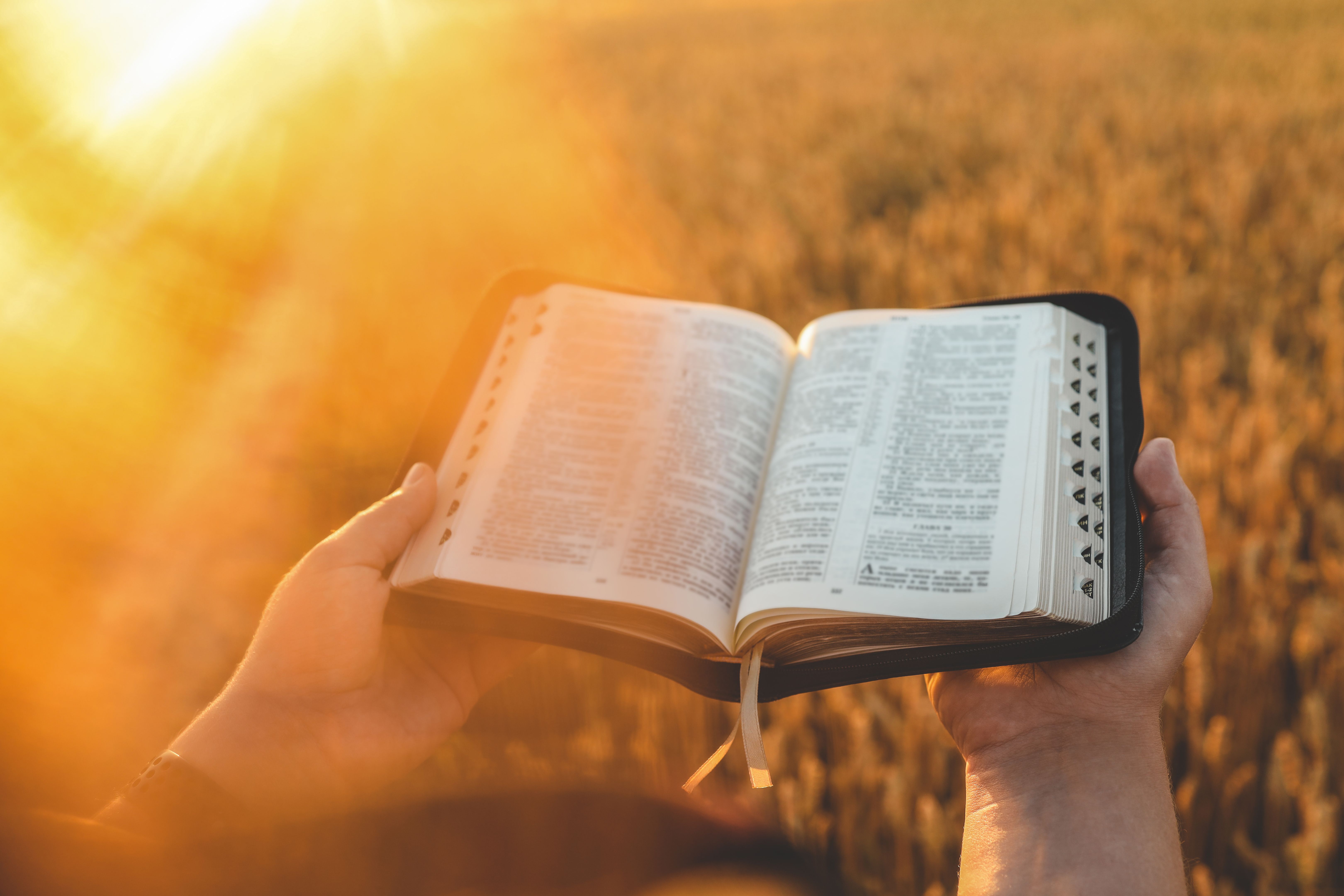 people reading bible