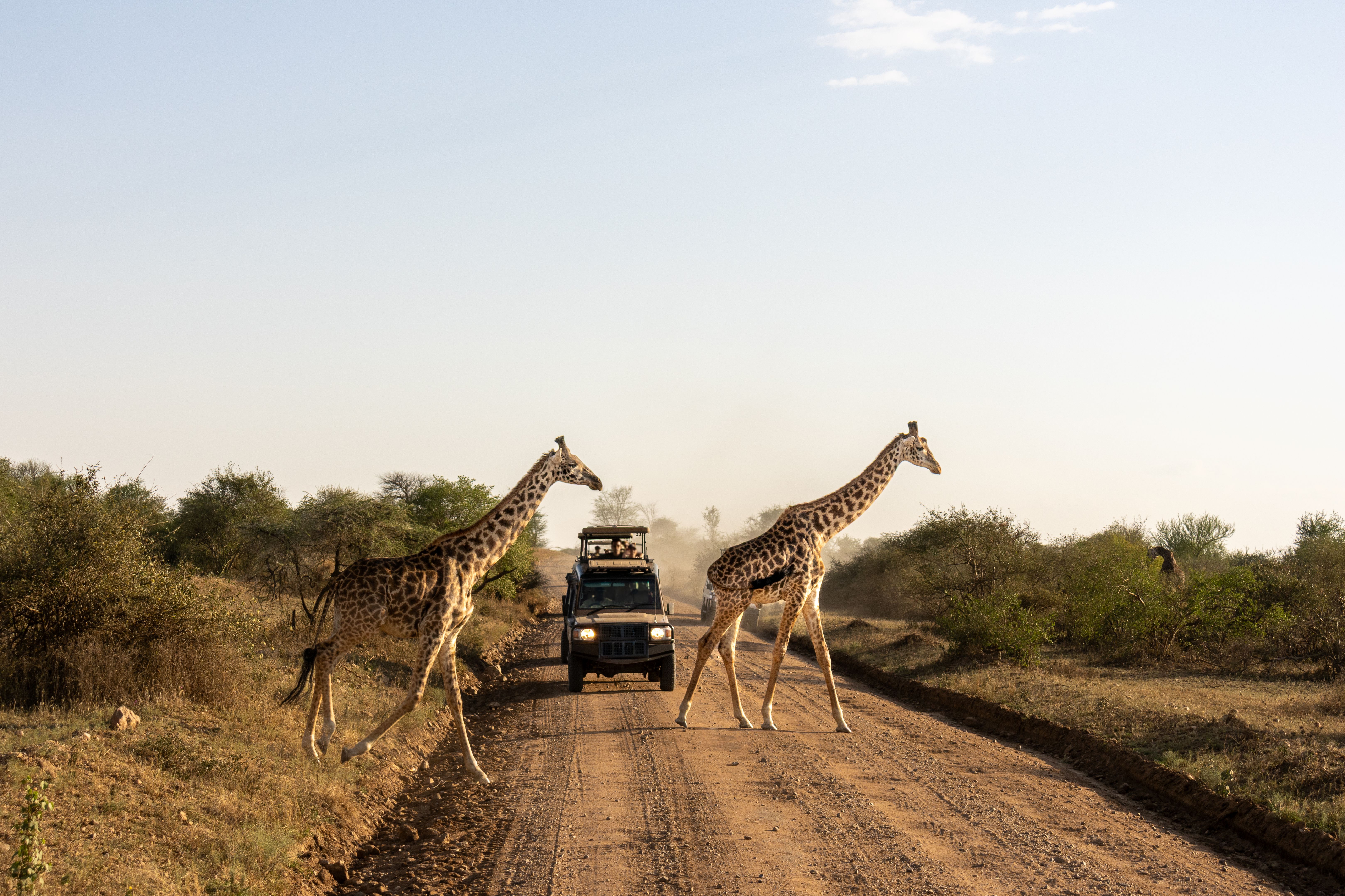 tanzanian safari budget