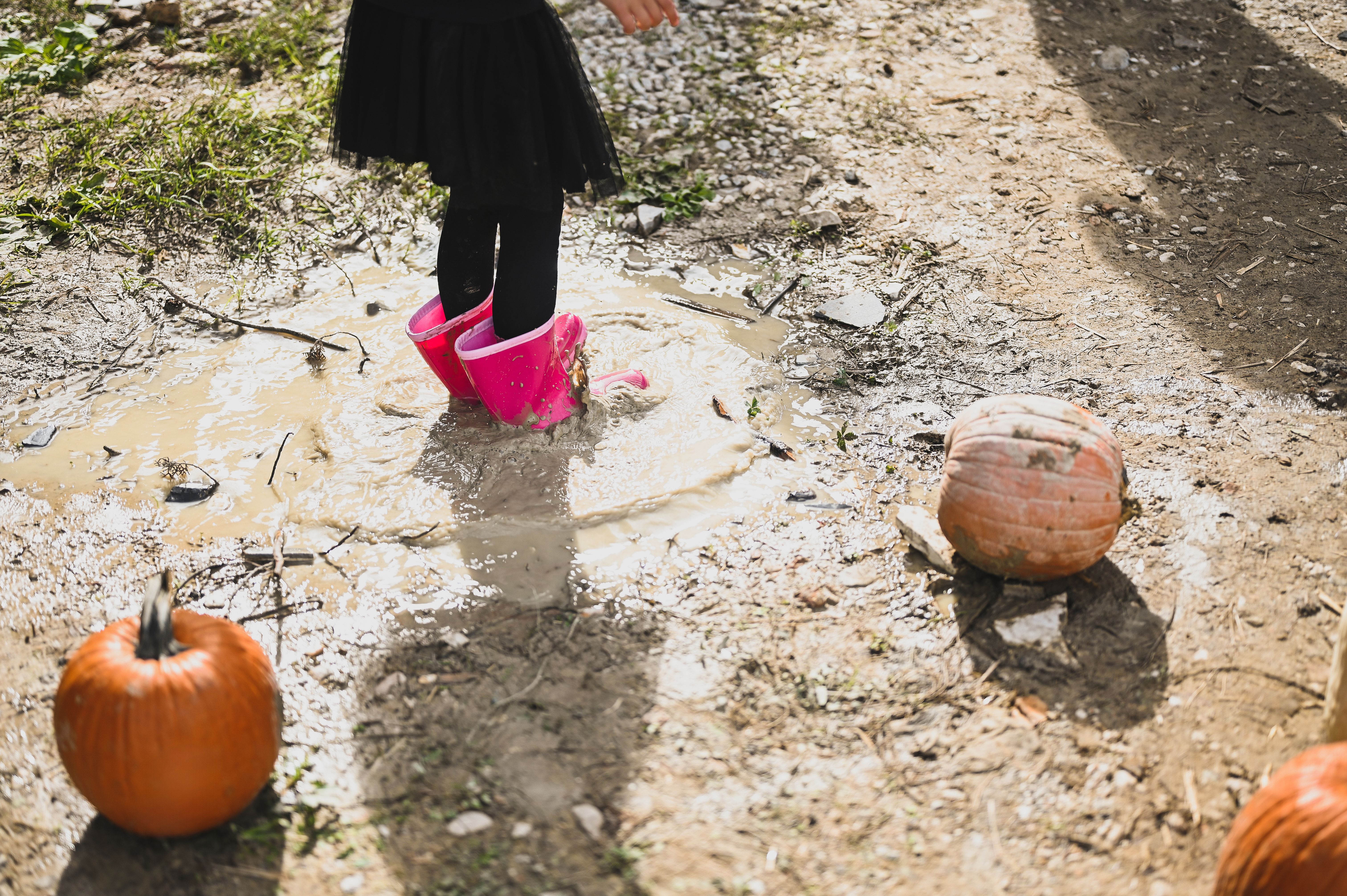 rainy season festival