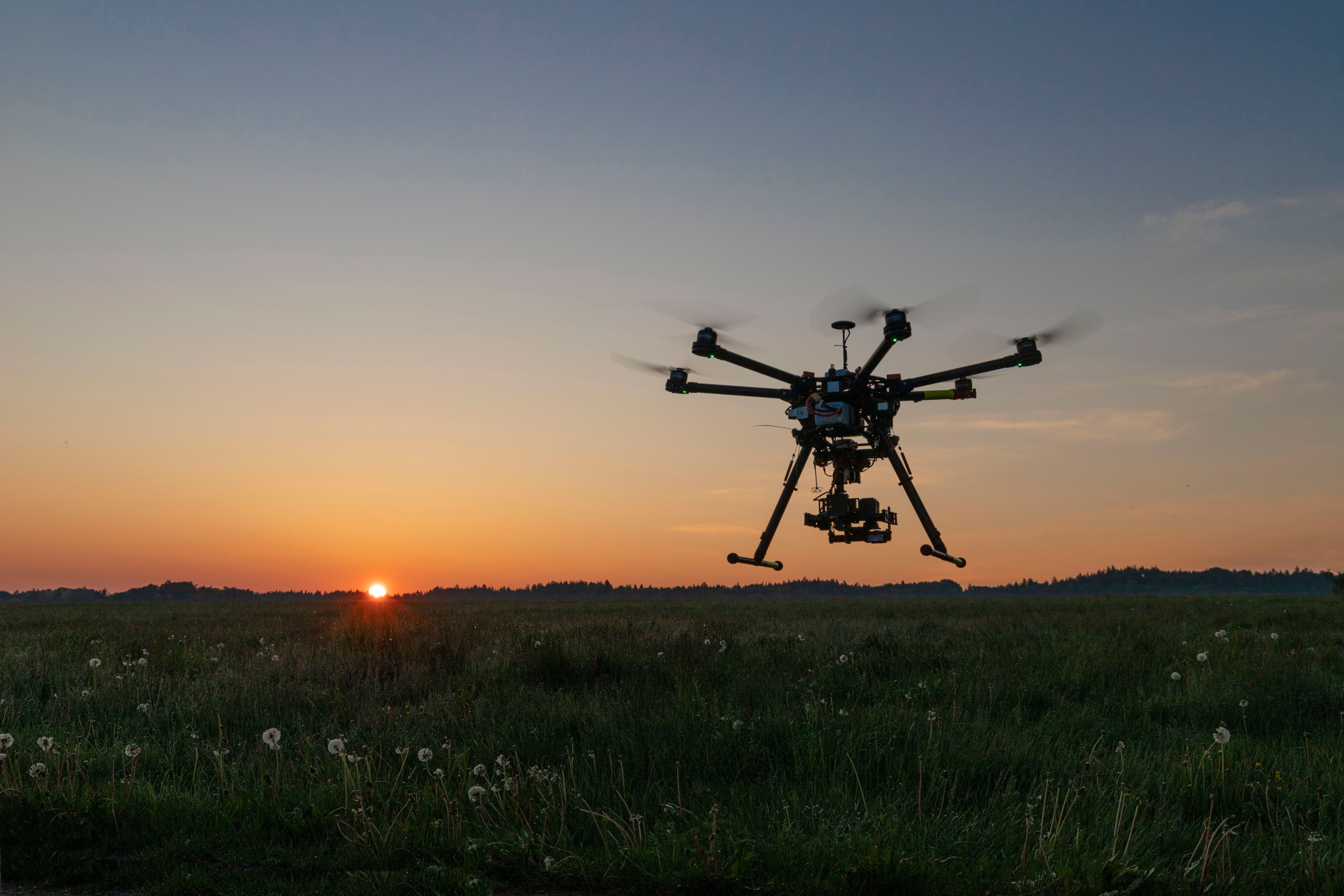 thermal drone wildlife