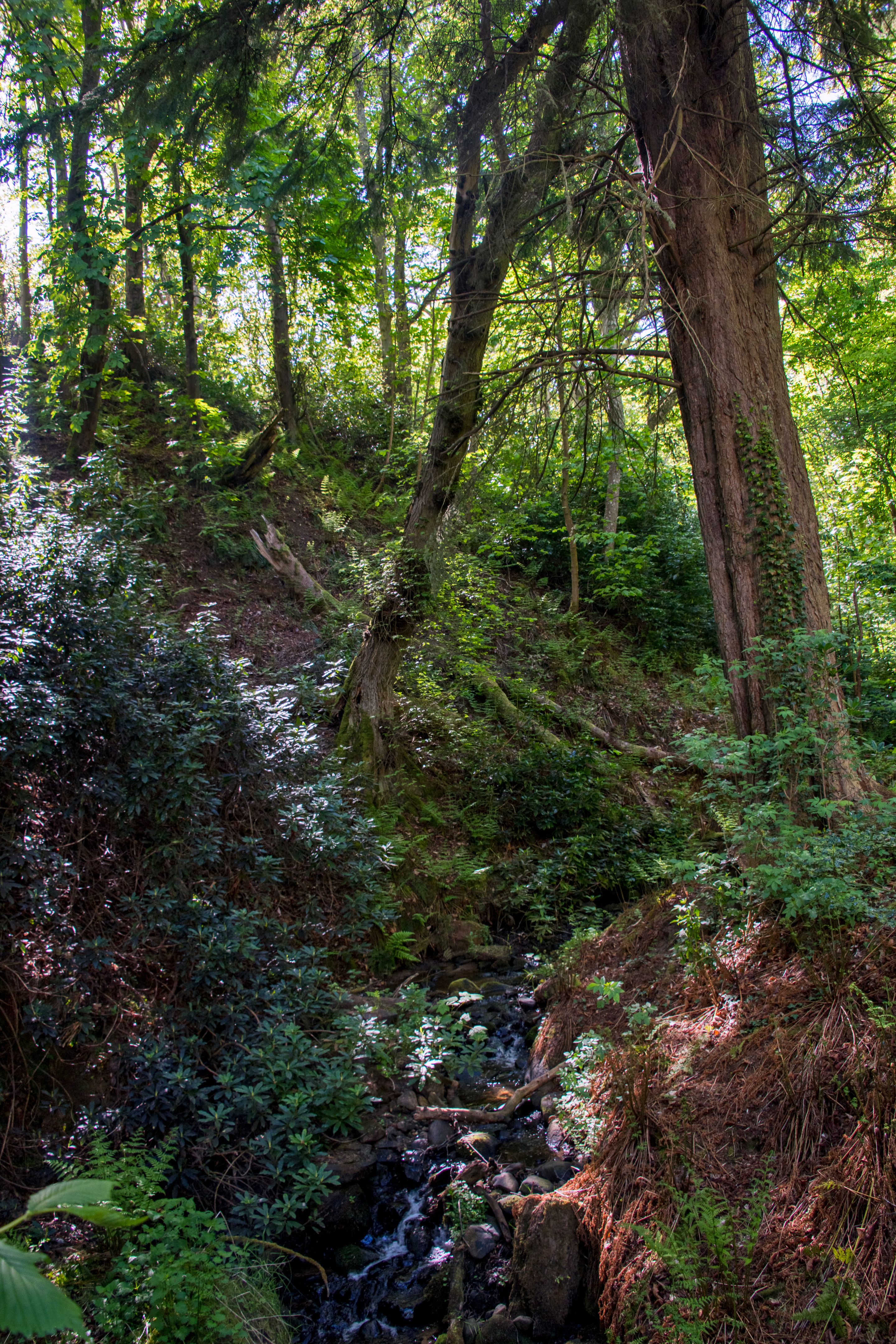 arquitetura natureza