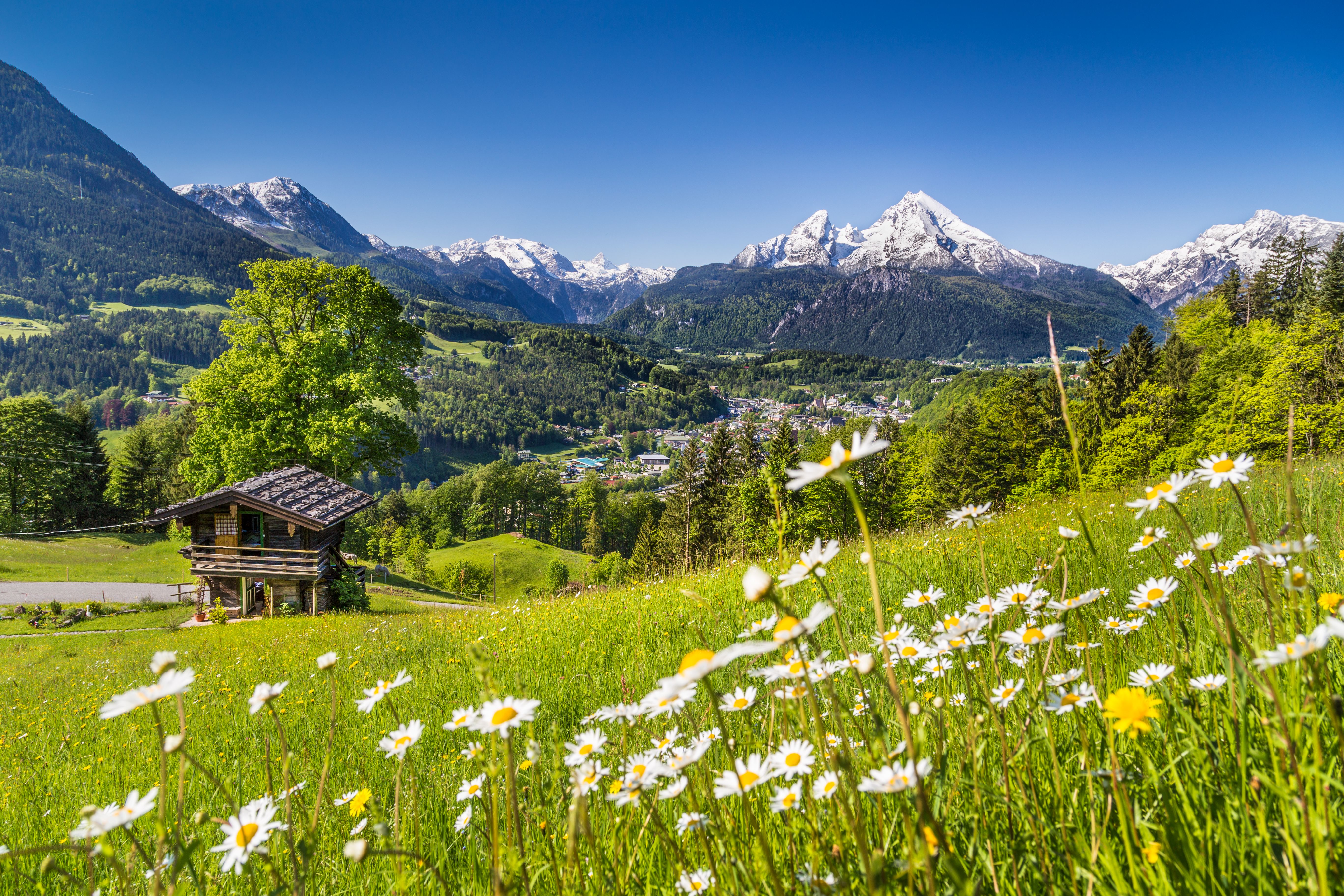 bavarian alps spring