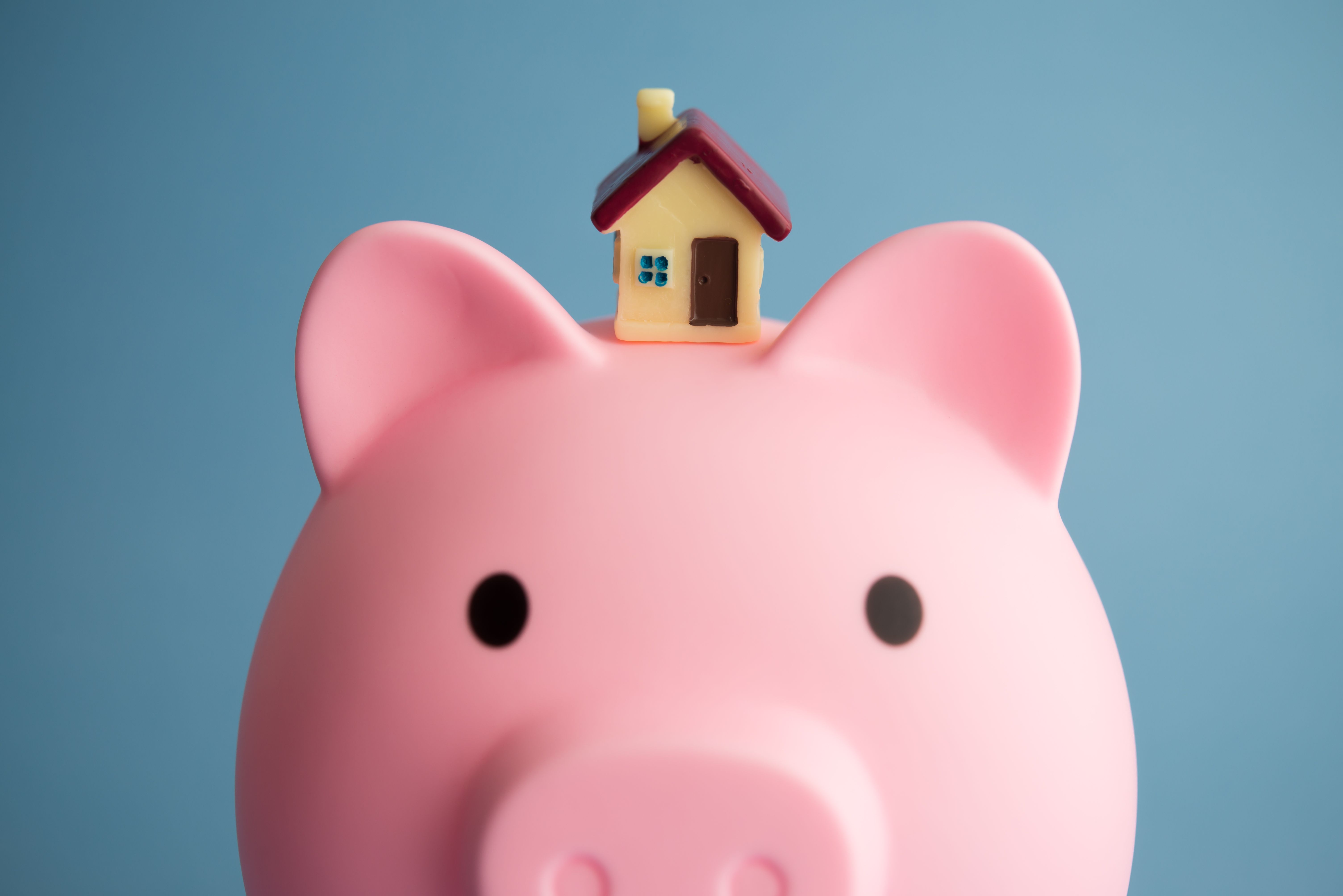 House on cute pink piggy bank with blue background.