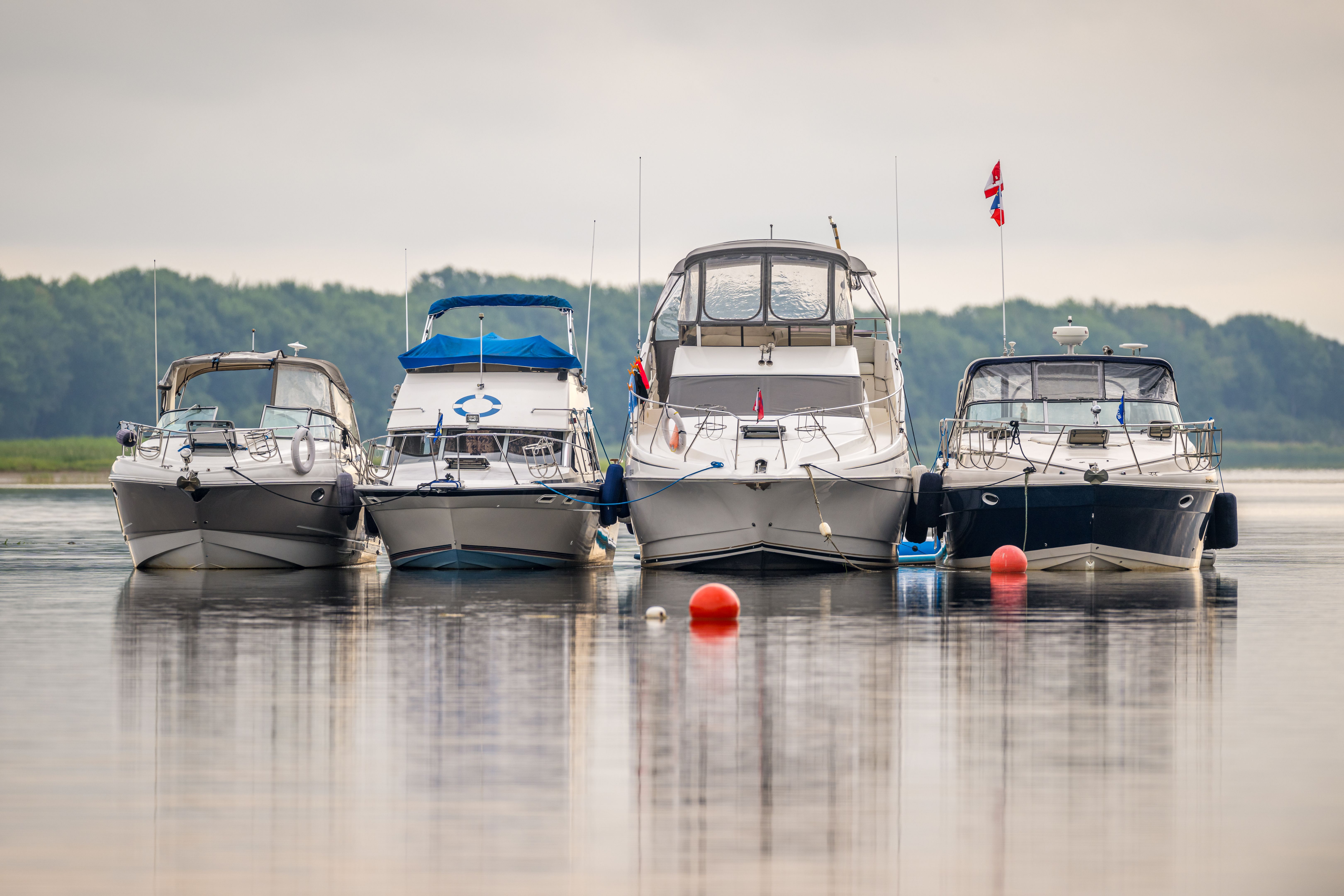 water sports New Brunswick