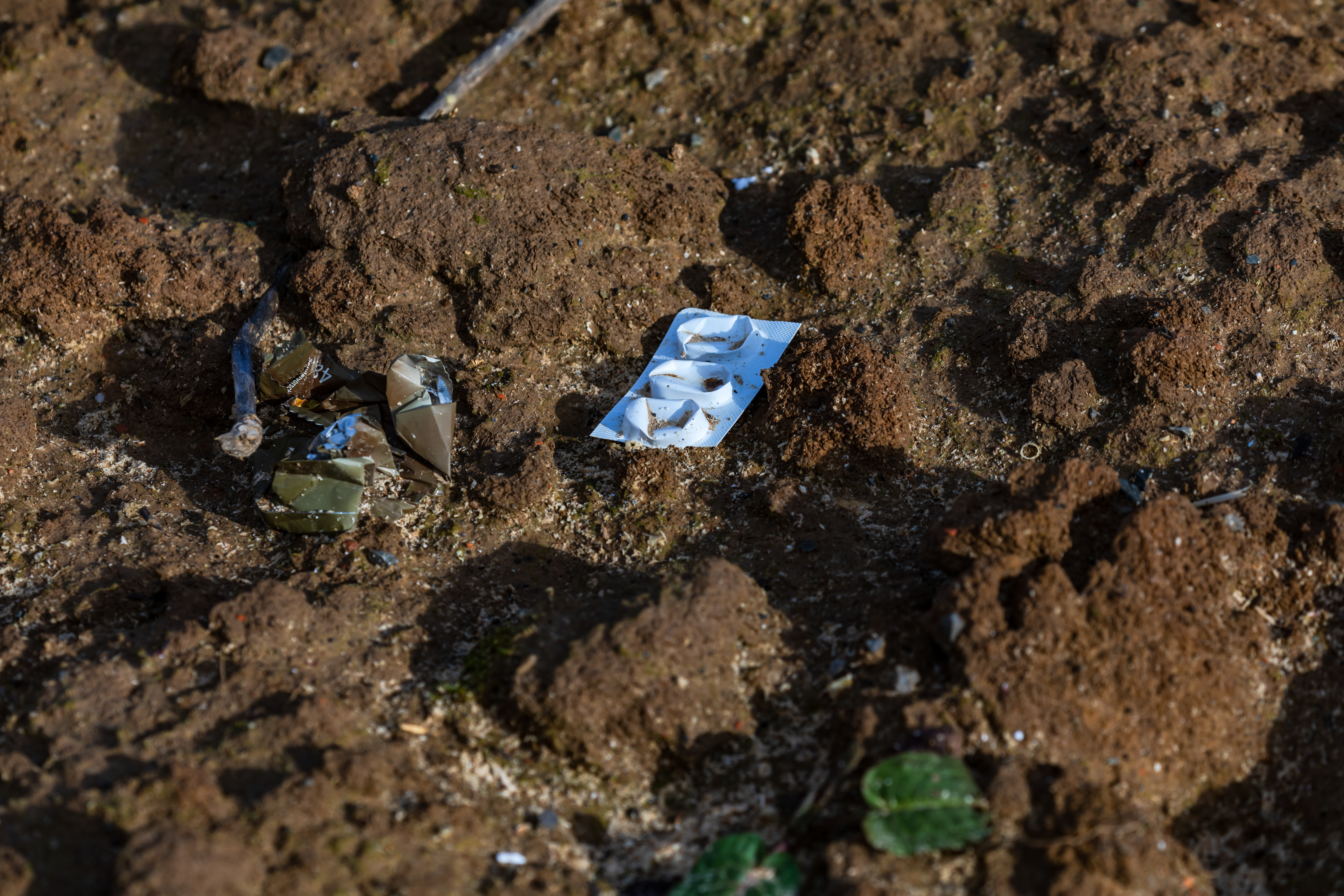 A blister pack of pills in rural field is environmental pollution A blister pack of pills in rural field is environmental pollution