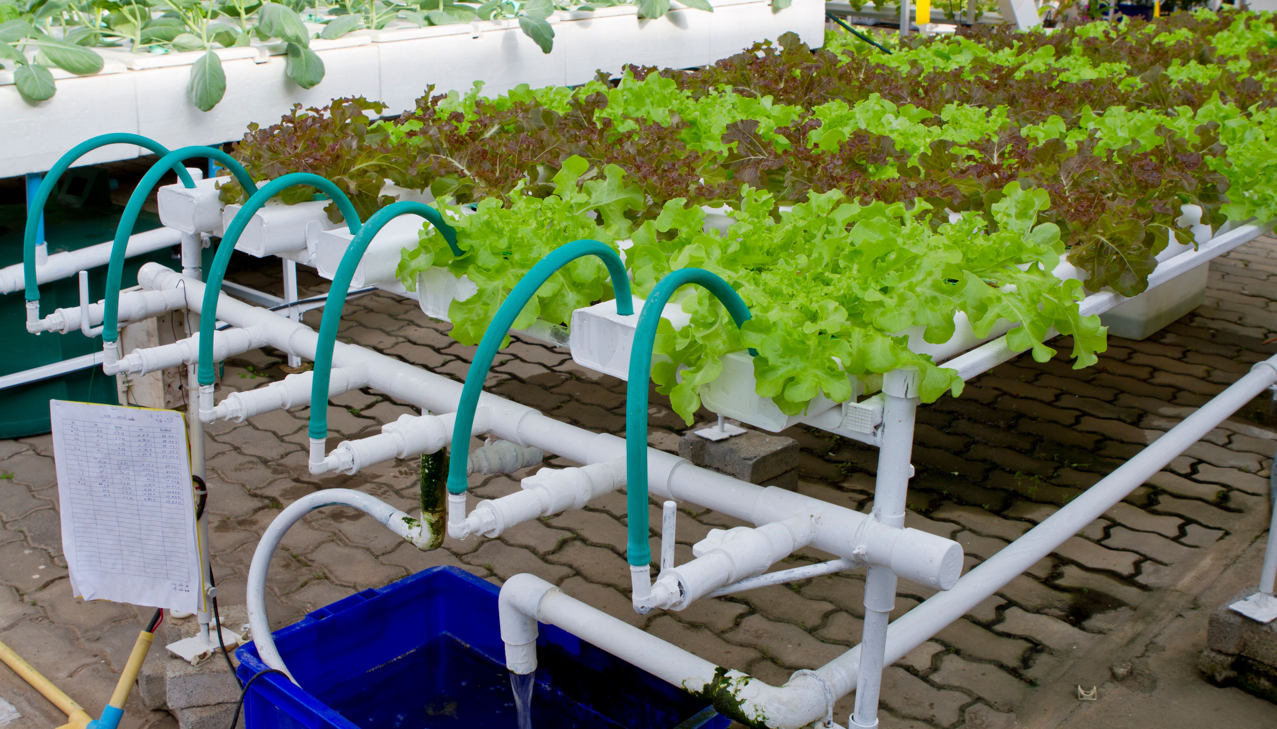 Hydroponic farm Hydroponic farm
