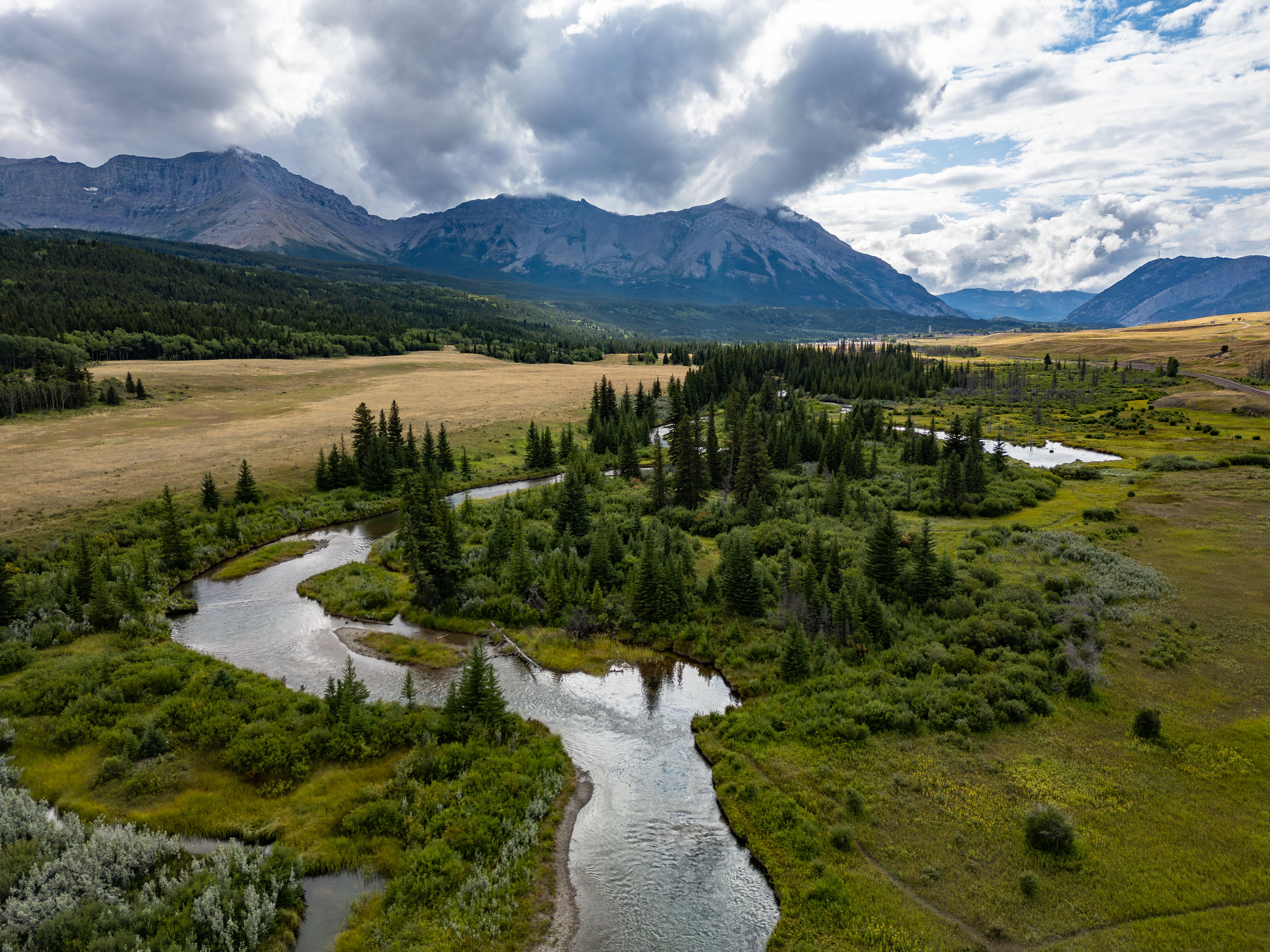 wildlife management Alberta