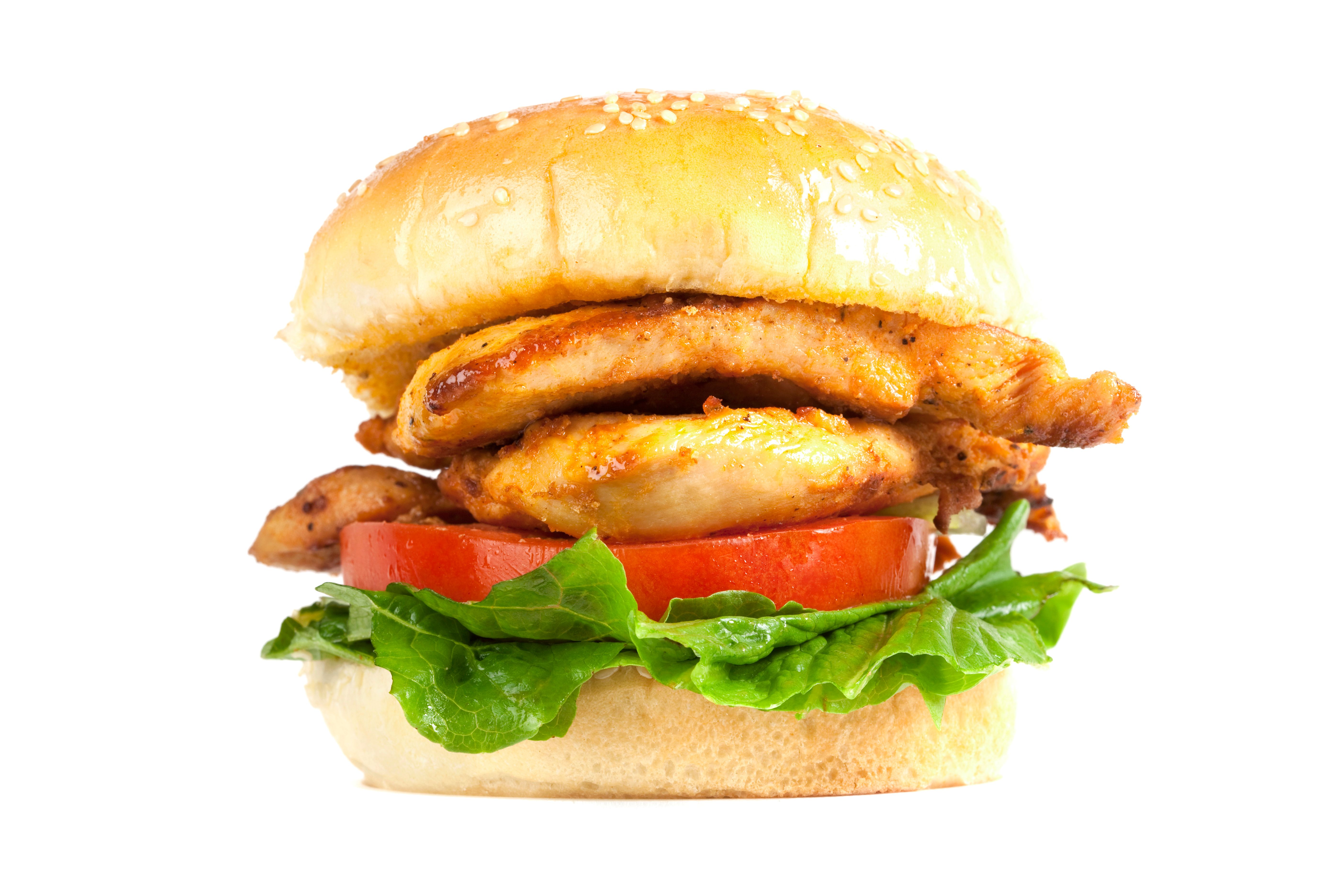 grilled chicken sandwich