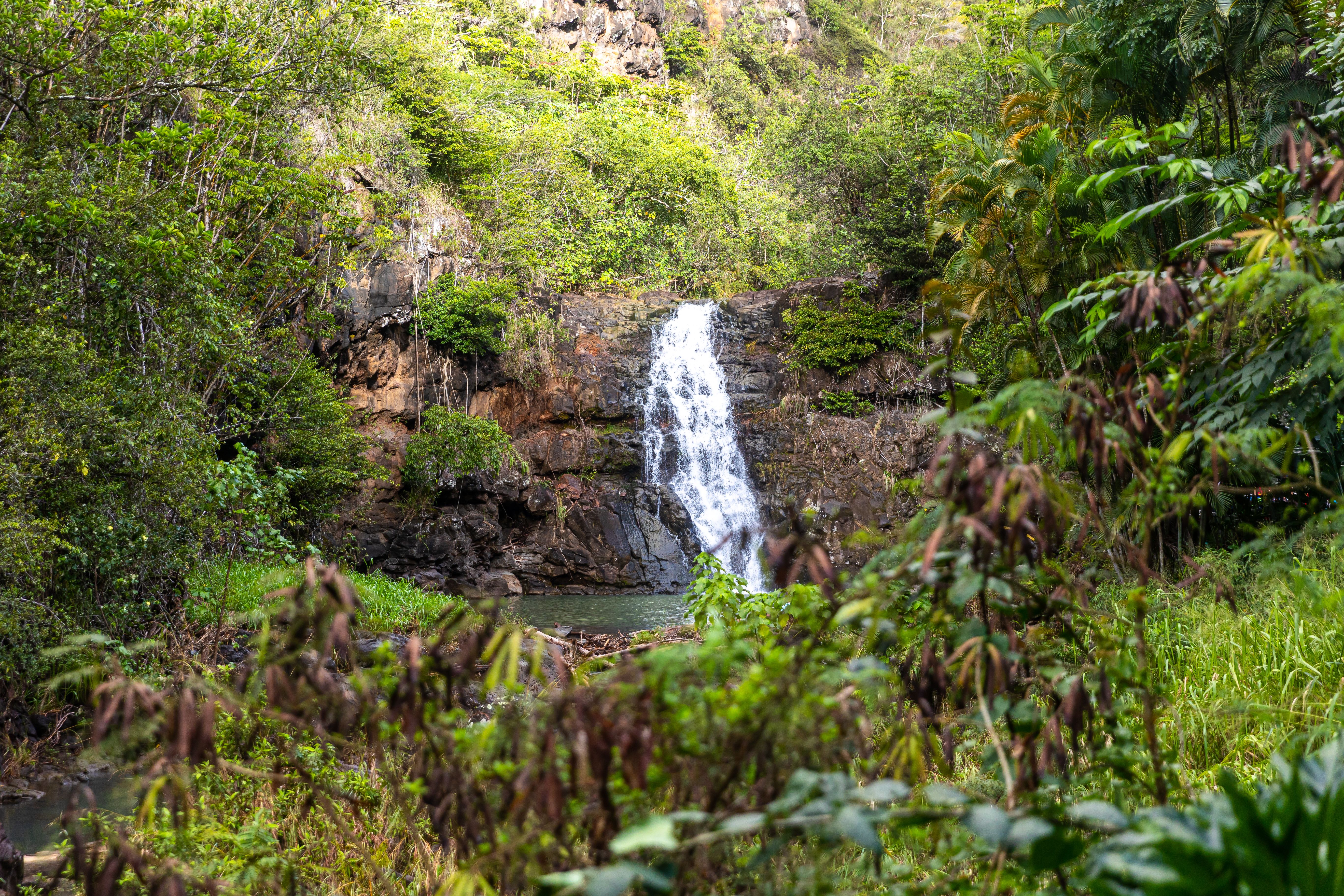 hawaiian waterfall