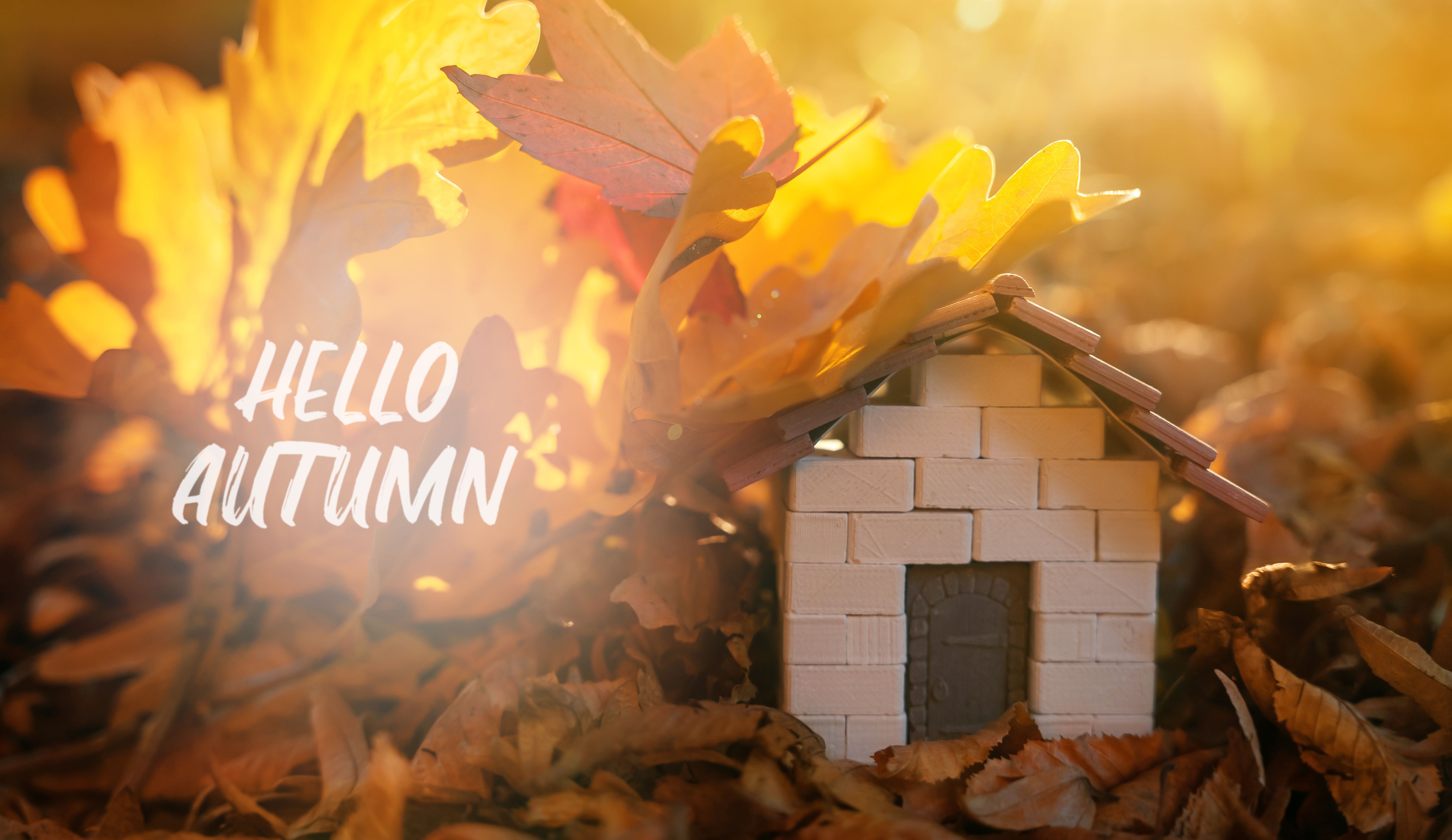 autumn homebuying