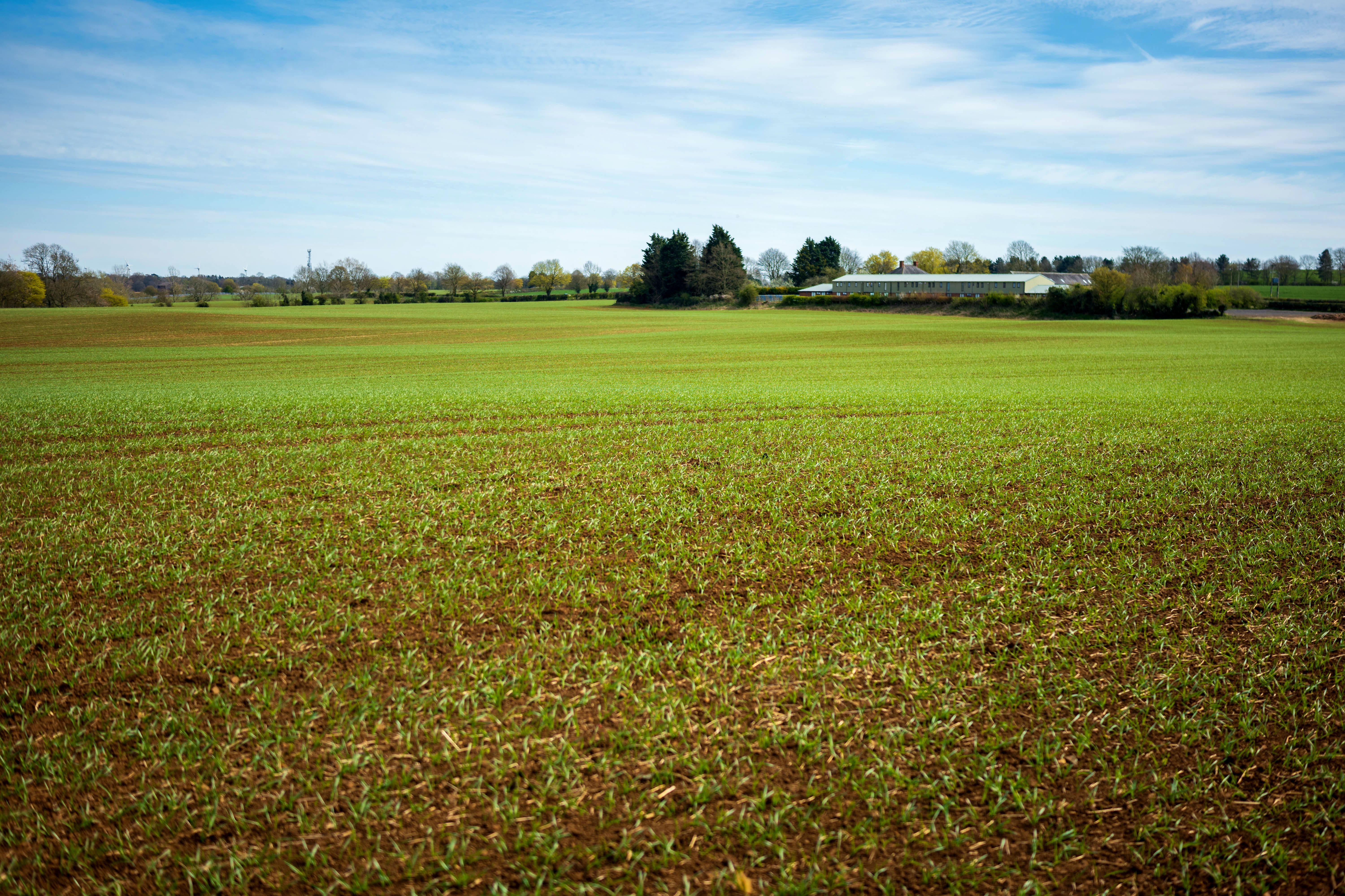 home counties landscape
