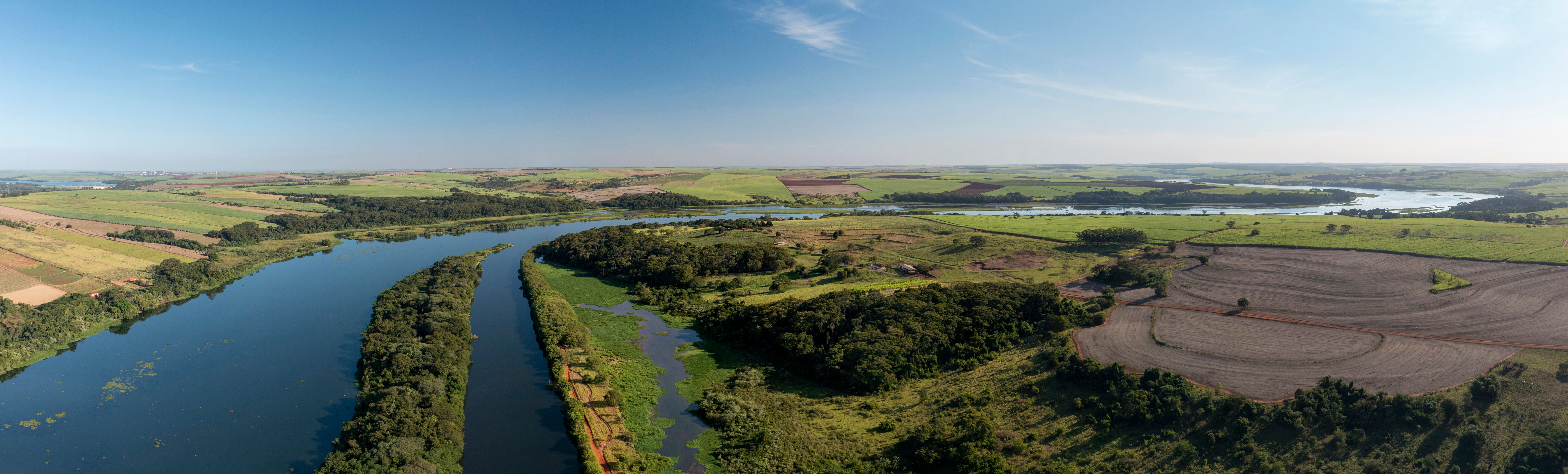 seleção fornecedor