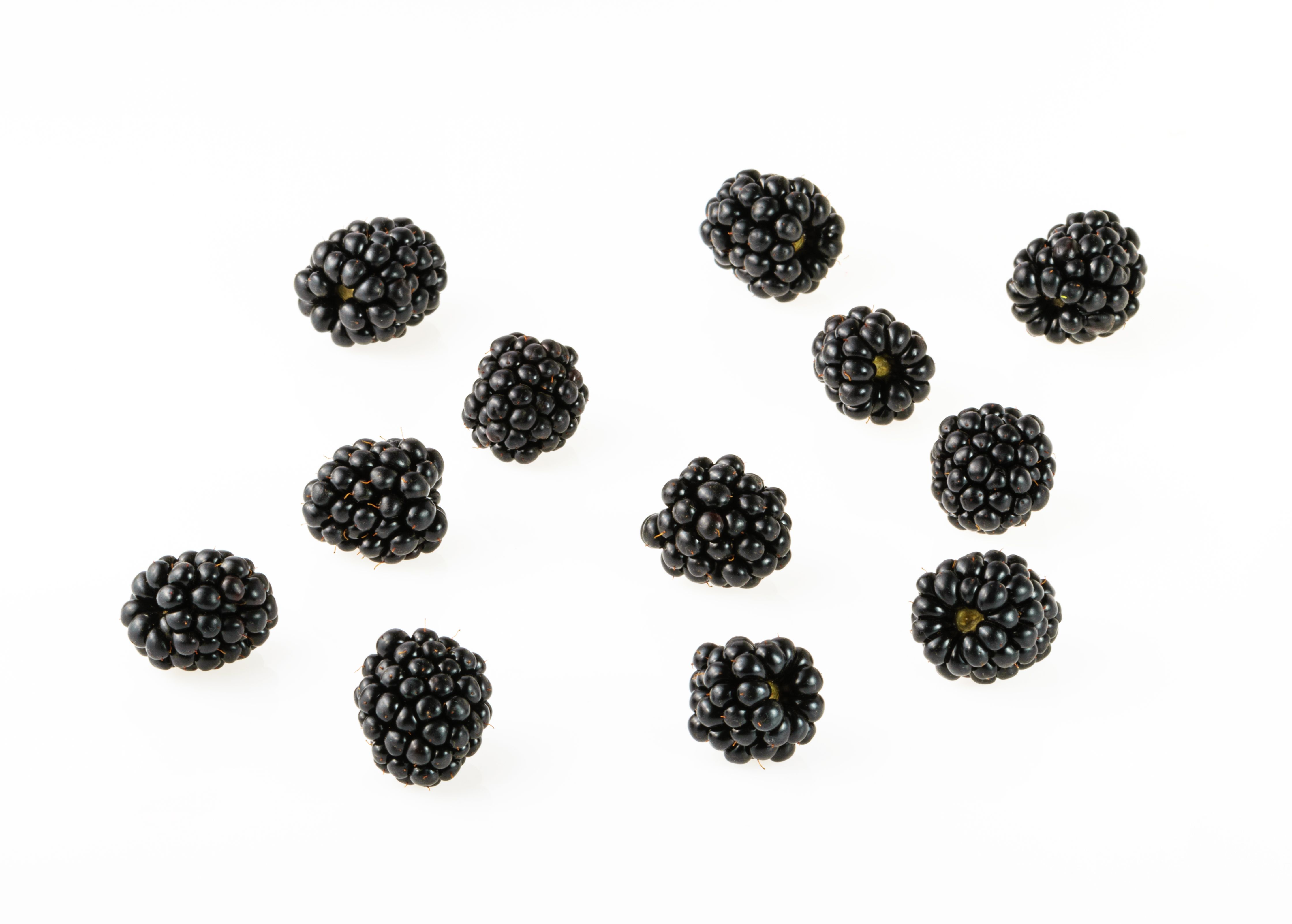 ripe blackberries