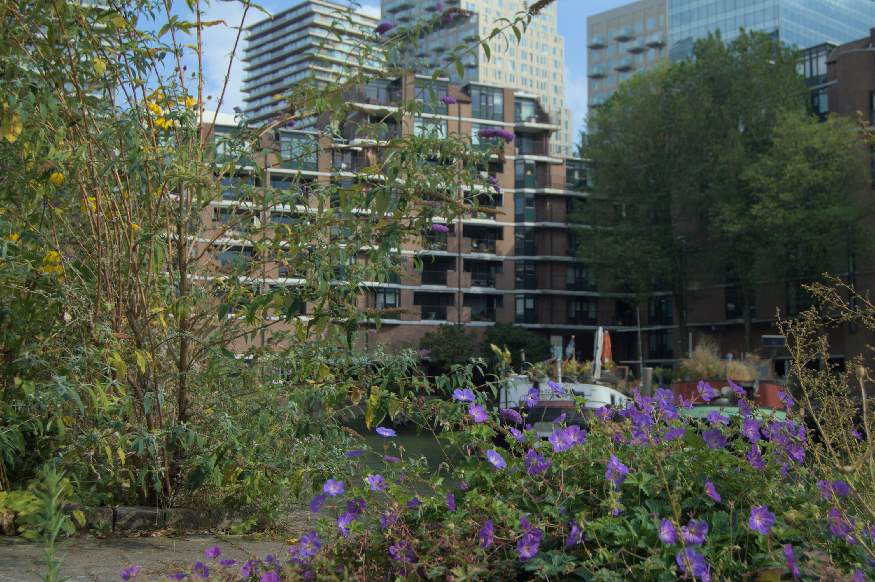 sostenibilidad turismo